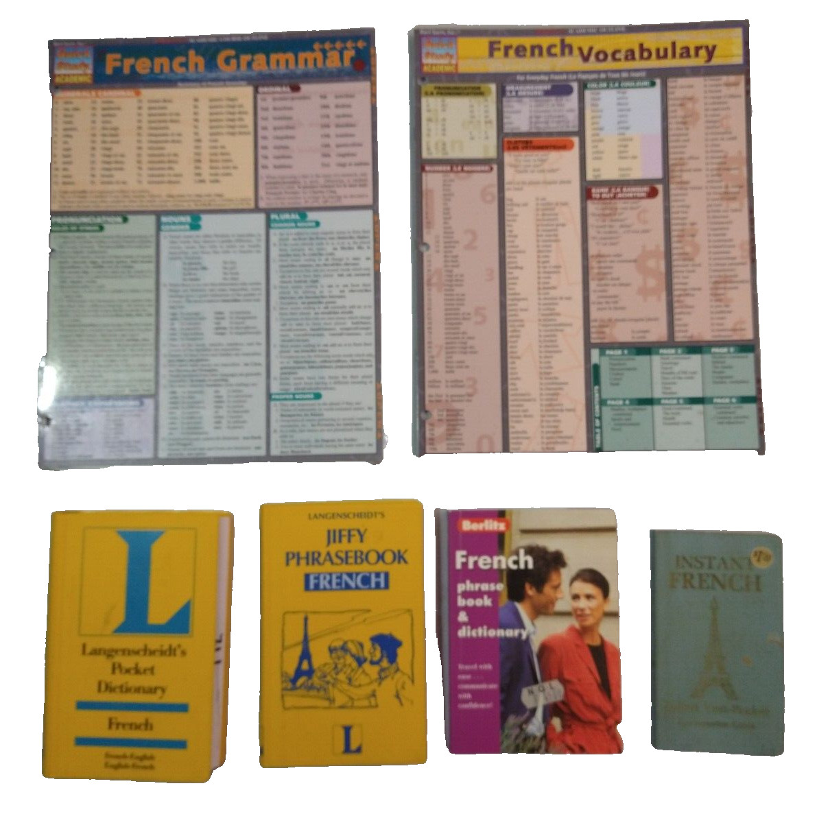 French Language learning 6 in lot 2 Quick Study sheets and 4 Books