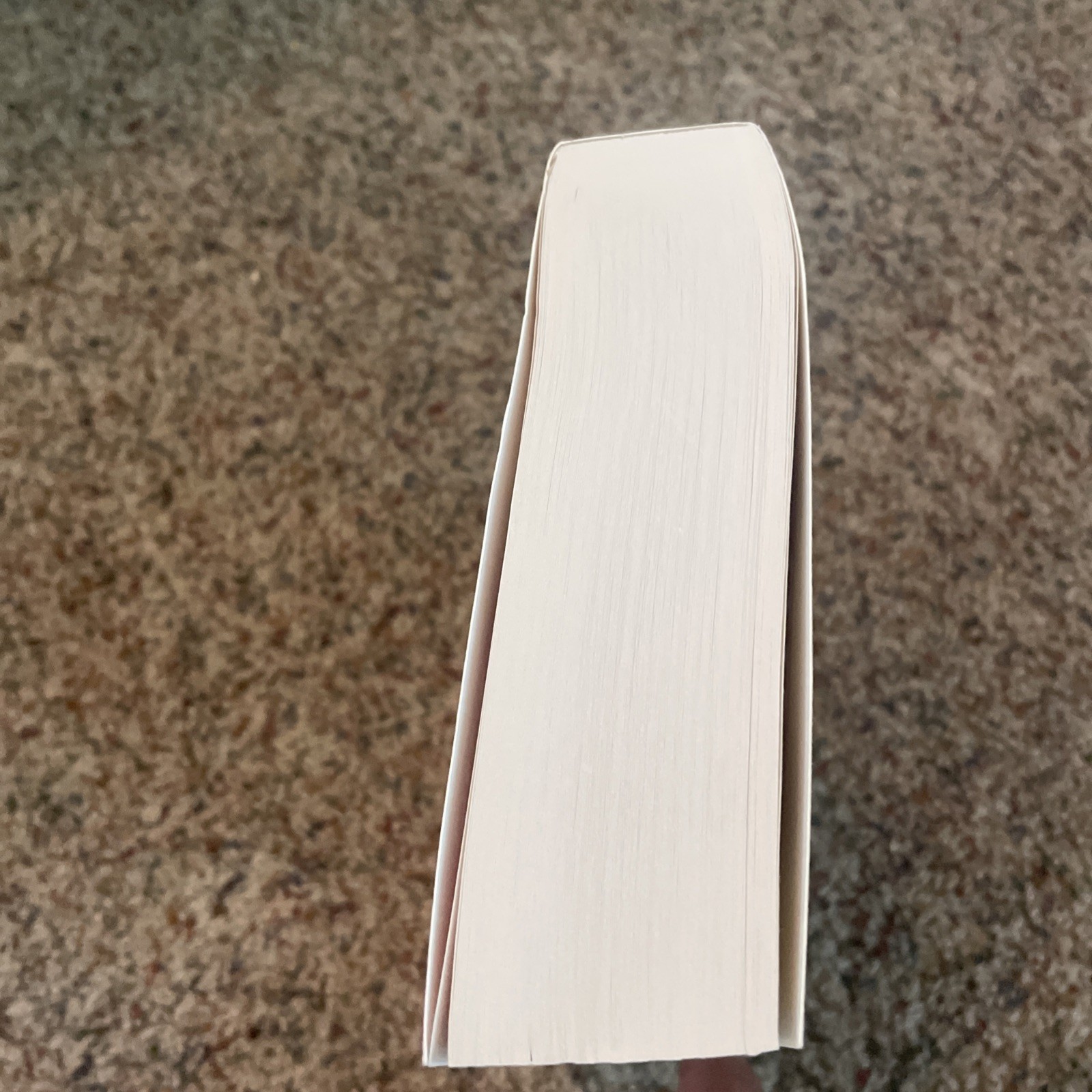501 Hebrew Verbs by Bolozky, Shmuel