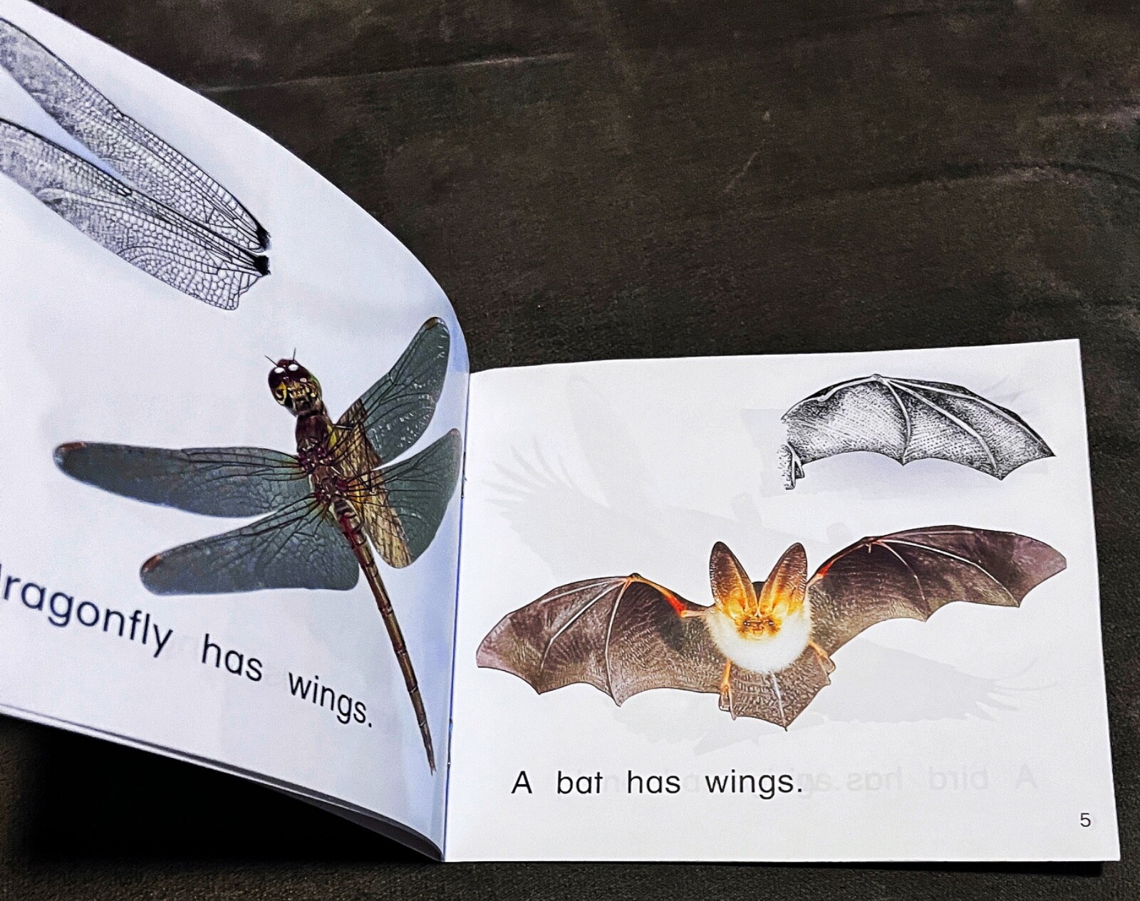 Rigby Literacy Emergent WINGS Reading Level 1/F&P Level A Paloma Kennedy Ex-Lib