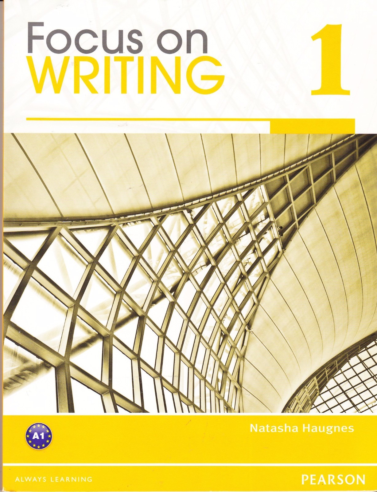 Focus on Writing 1 – 1st edition by Haugnes, Natasha (2011) Paperback – NEW
