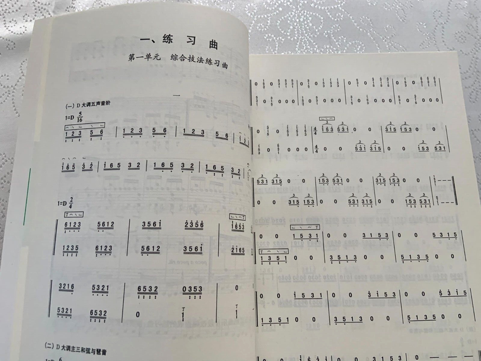 Concise Guide to Learn Chinese Harp (Chinese Edition) Book 1 & 2 brand new
