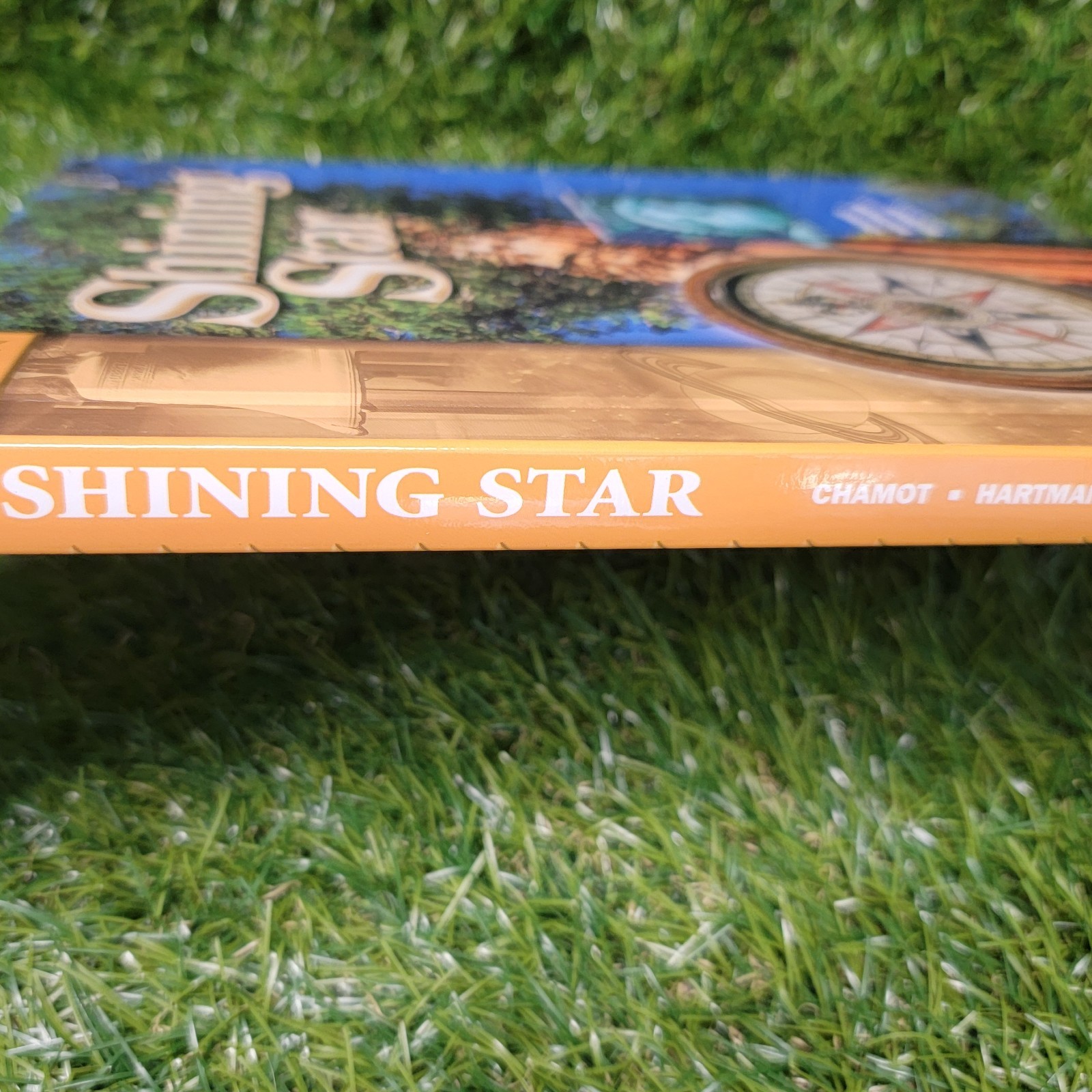 Shining Star by Pamela Hartmann, Anna Uhl Chamot, Jann Huizenga Book C