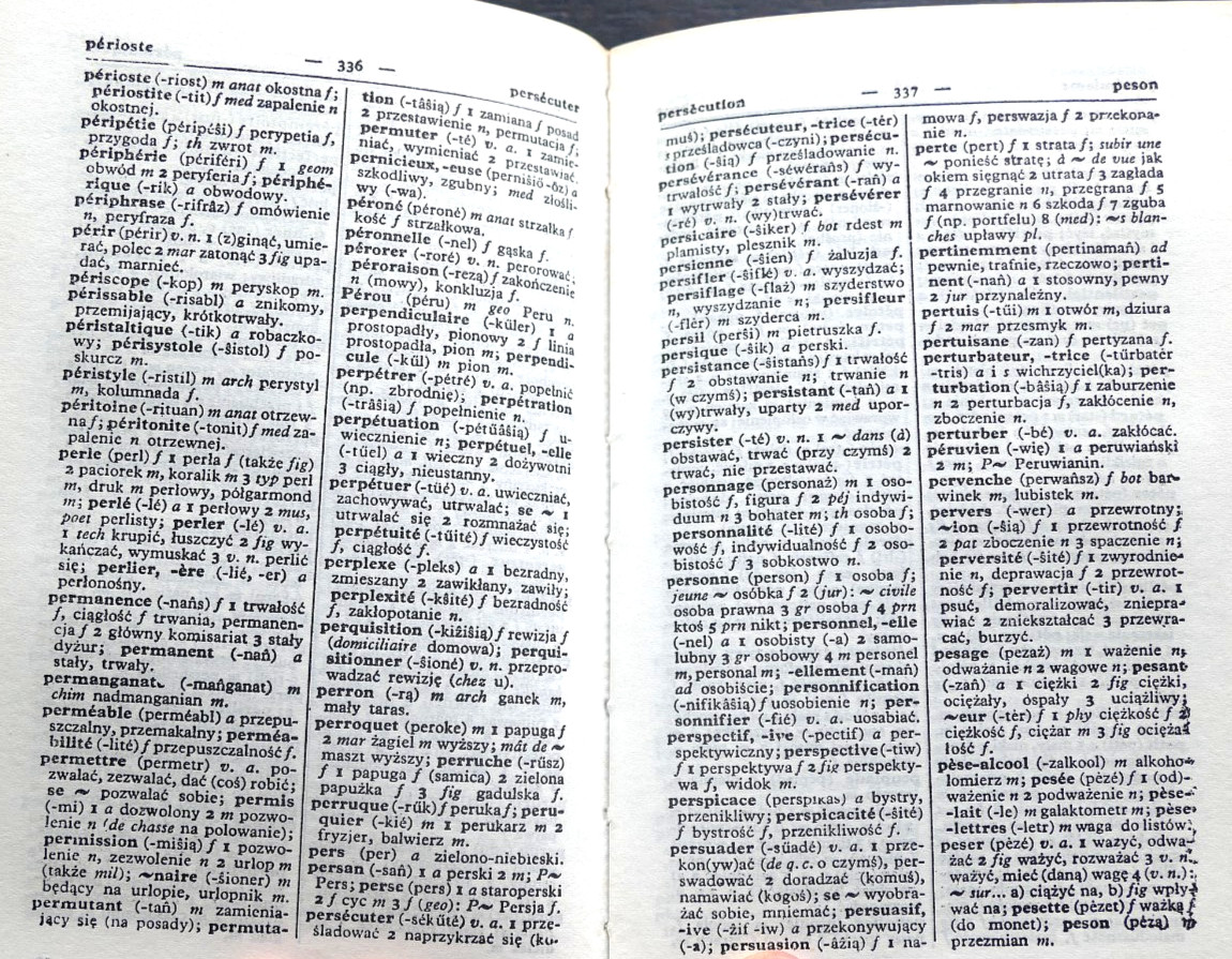 DICTIONNAIRE FRANCAIS-POLONAIS French-Polish DICTIONARY HC Bernard HAMEL SALE