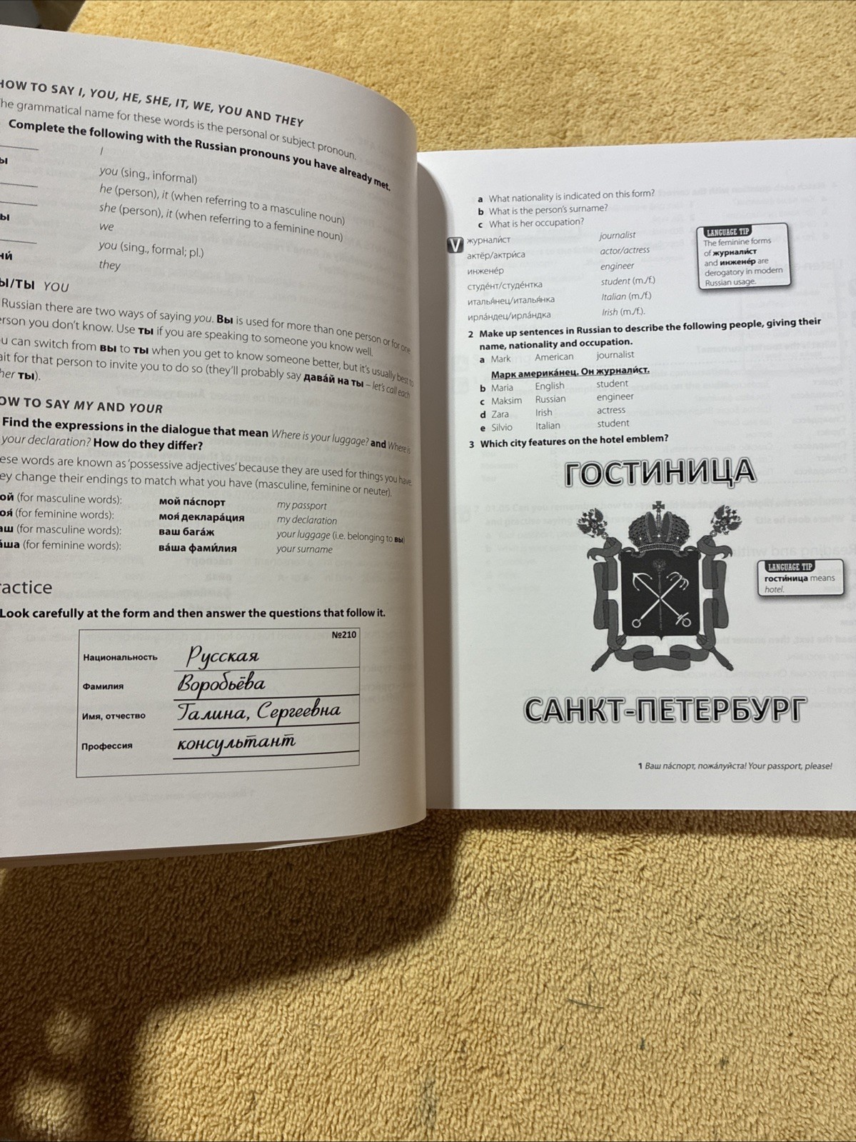 Complete Russian Beginner to Intermediate Course (TPB) Teach Yourself Series