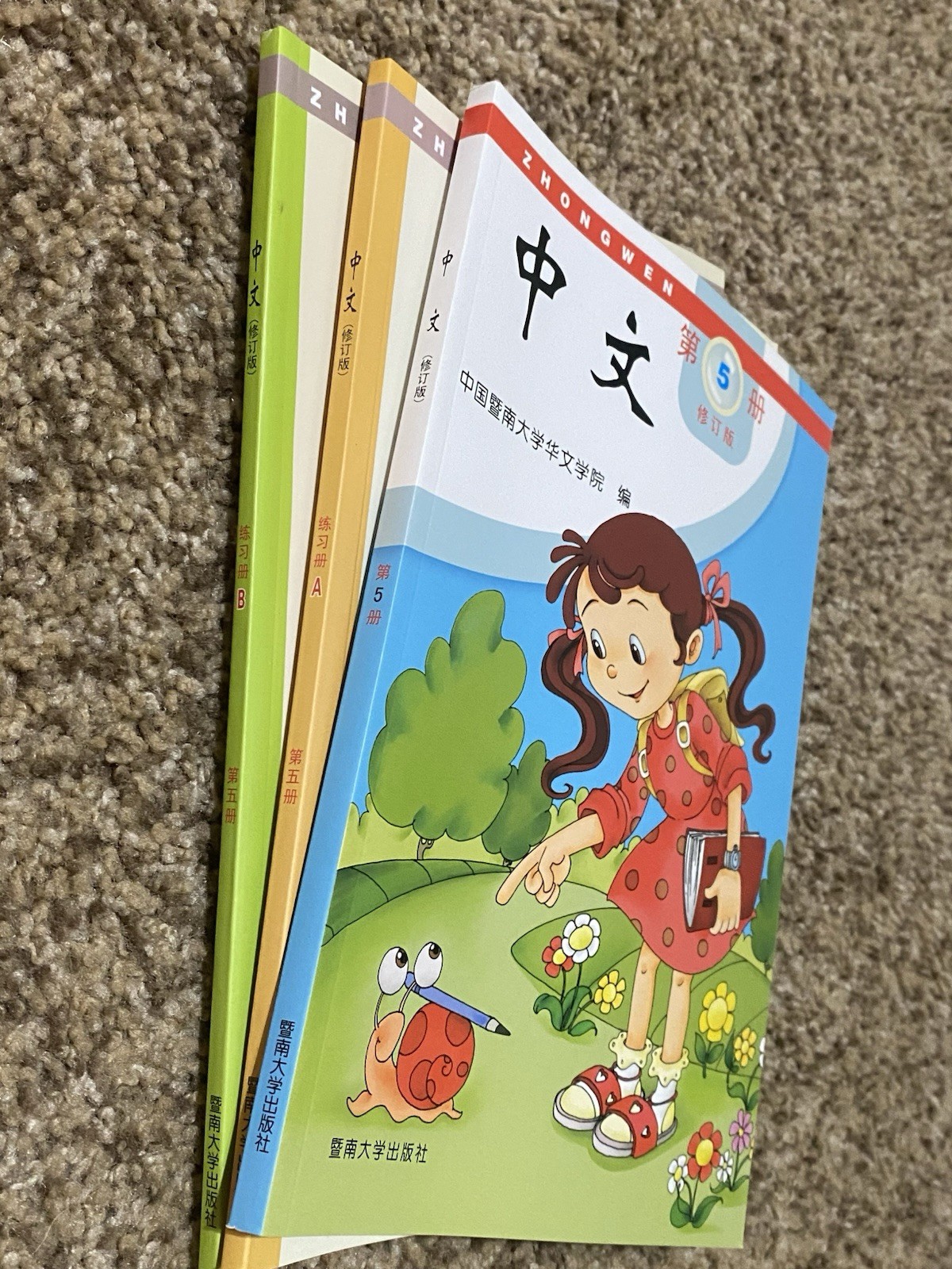 ZHONGWEN 中文 Revised Edition Vol. 5 Textbook + Workbooks 5A & 5B Set