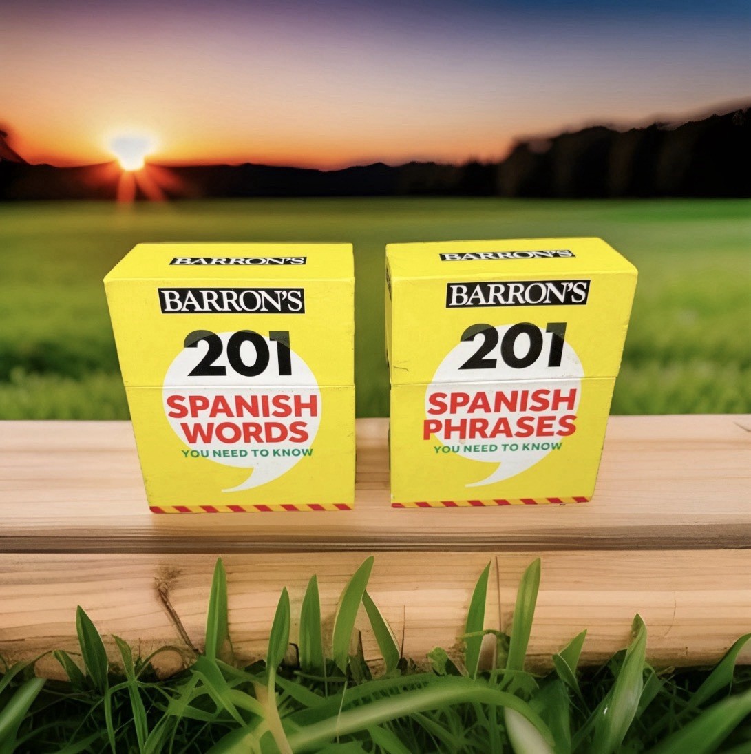 Barrons 201 Spanish Words and Phrases Flash Cards Set Educational Study Aid 2019