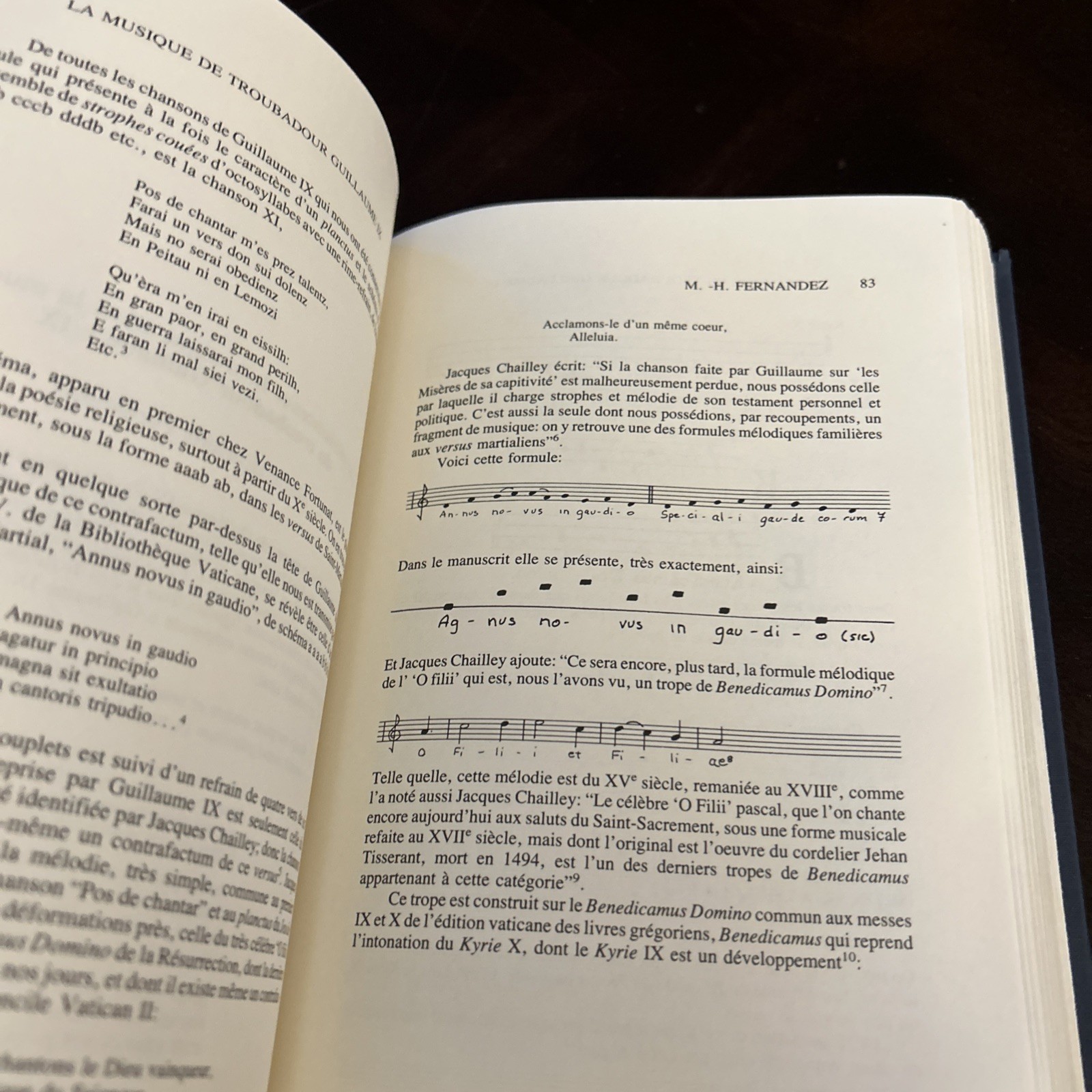 Studia Occitanica: In Memoriam Paul Remy, Volume 1 The Troubadours by Hans-Erich