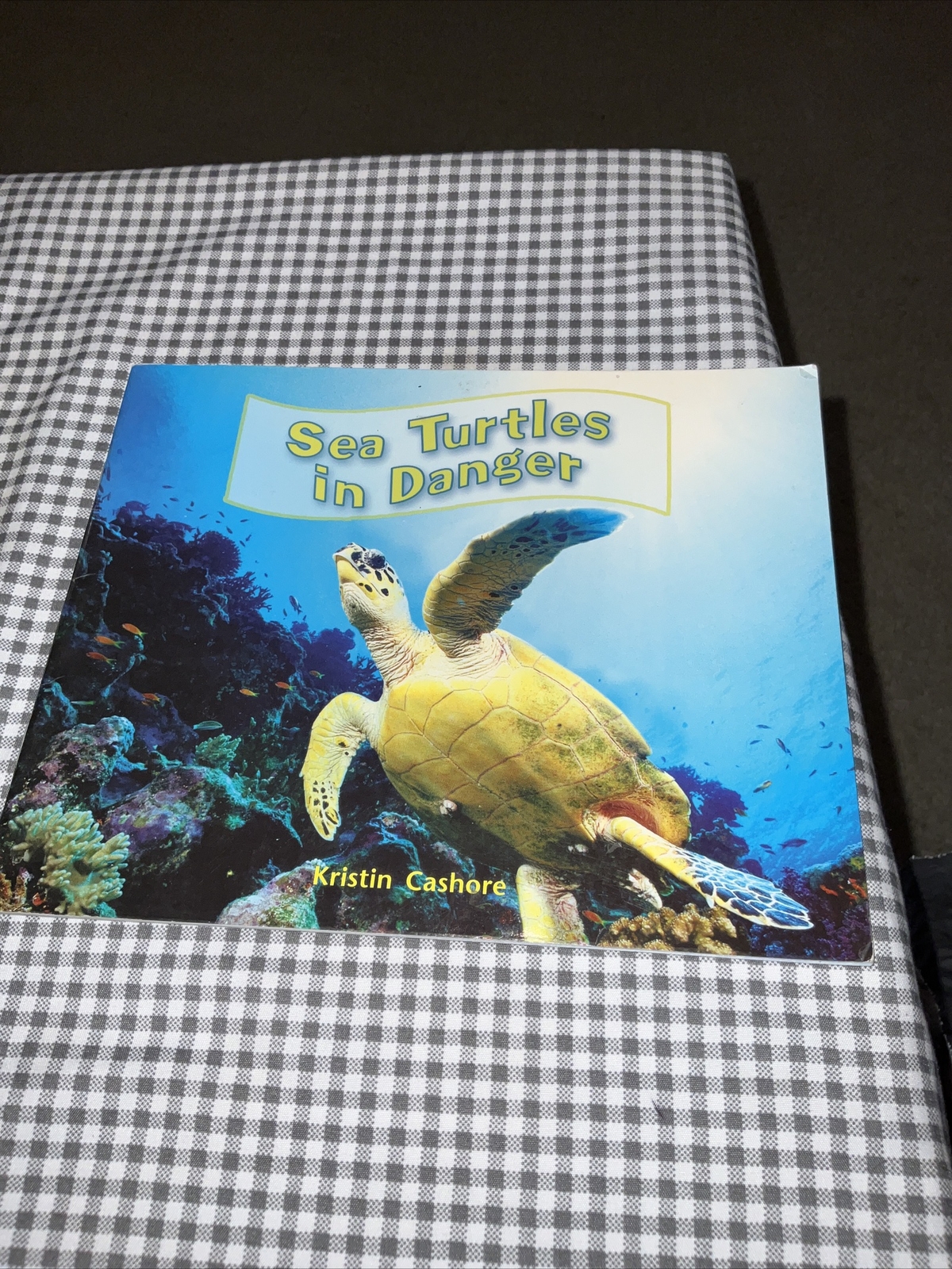 Sea Turtles in Danger By Kristin Cashore 2008 1st Edition Like New