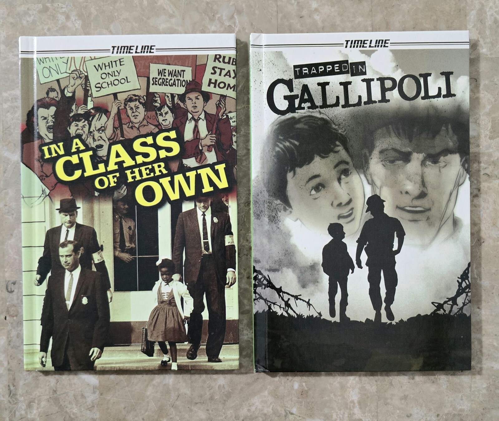 (9) Steck-Vaughn Timeline Graphic Novels Books Individual Student Edition HC