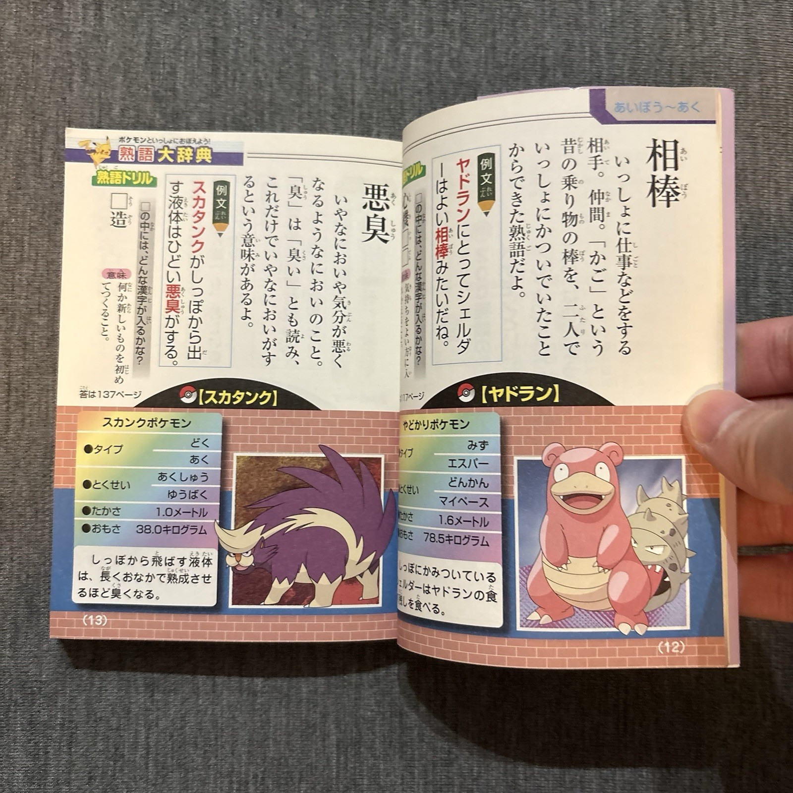 Pokemon An idiom Dictionary Book 1st Edition Japanese Learning Book Pikachu