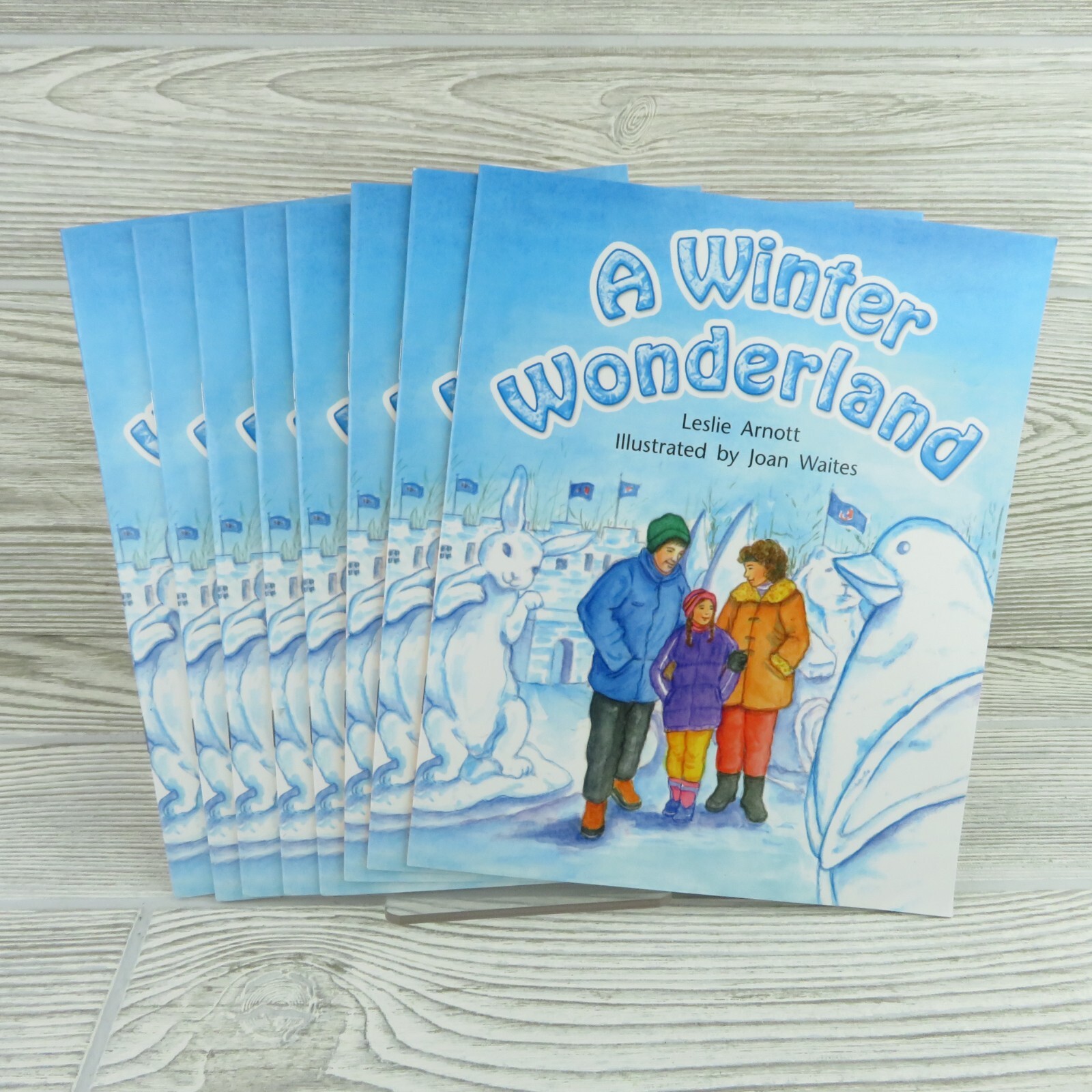 Rigby – A Winter Wonderland, by Leslie Arnott – Reading Level H – Lot of 8 Books