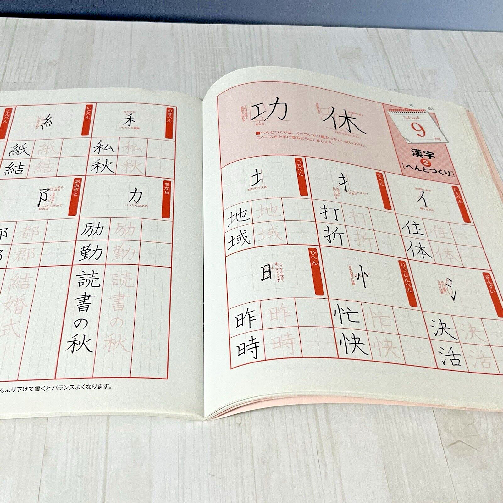 Learn Japanese Handwriting 30 Days Workbook Suito Nakatsuka Penmanship Practice