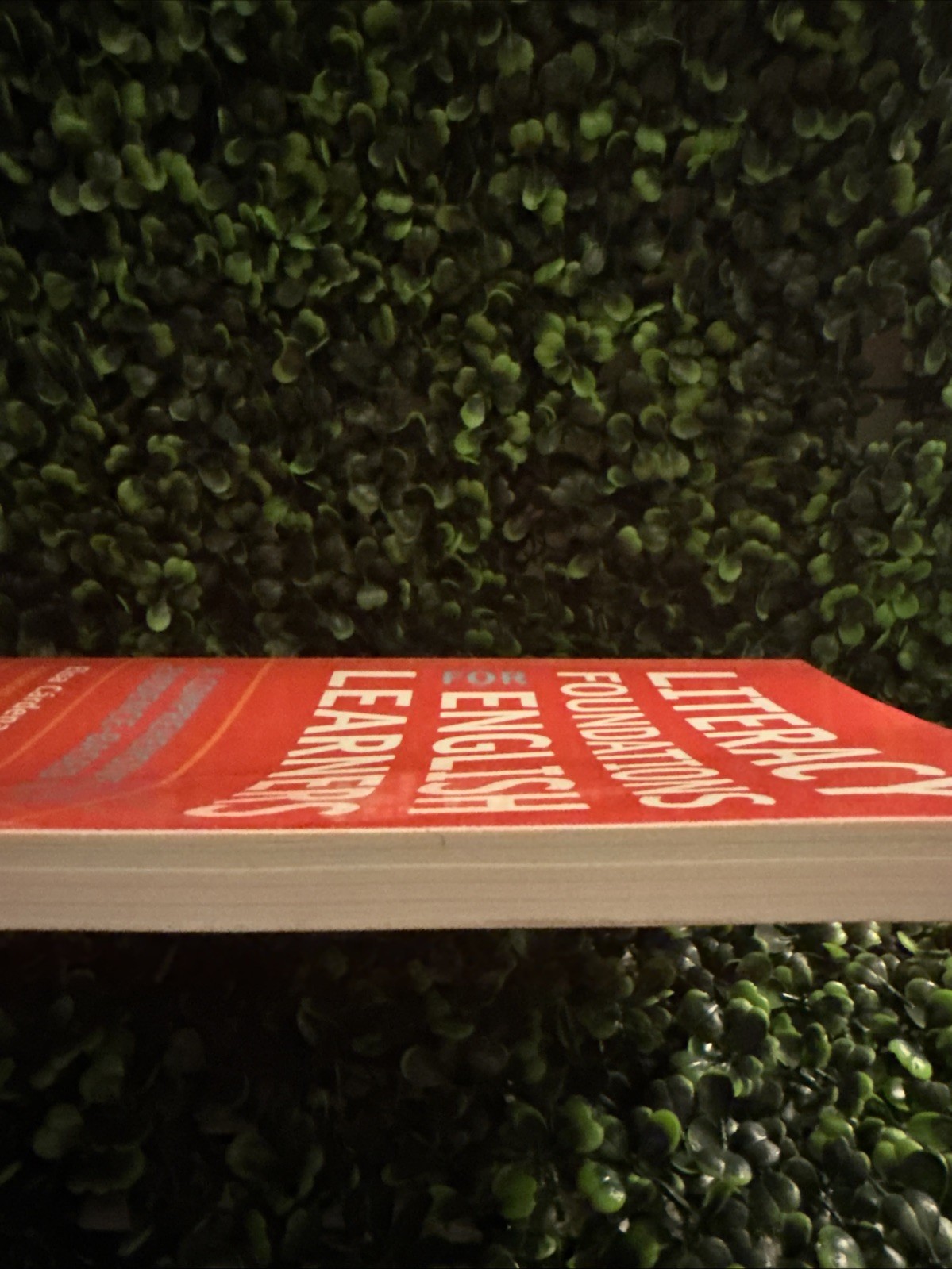 Literacy Foundations for English Learners: A Comprehensive Guide to Evidence
