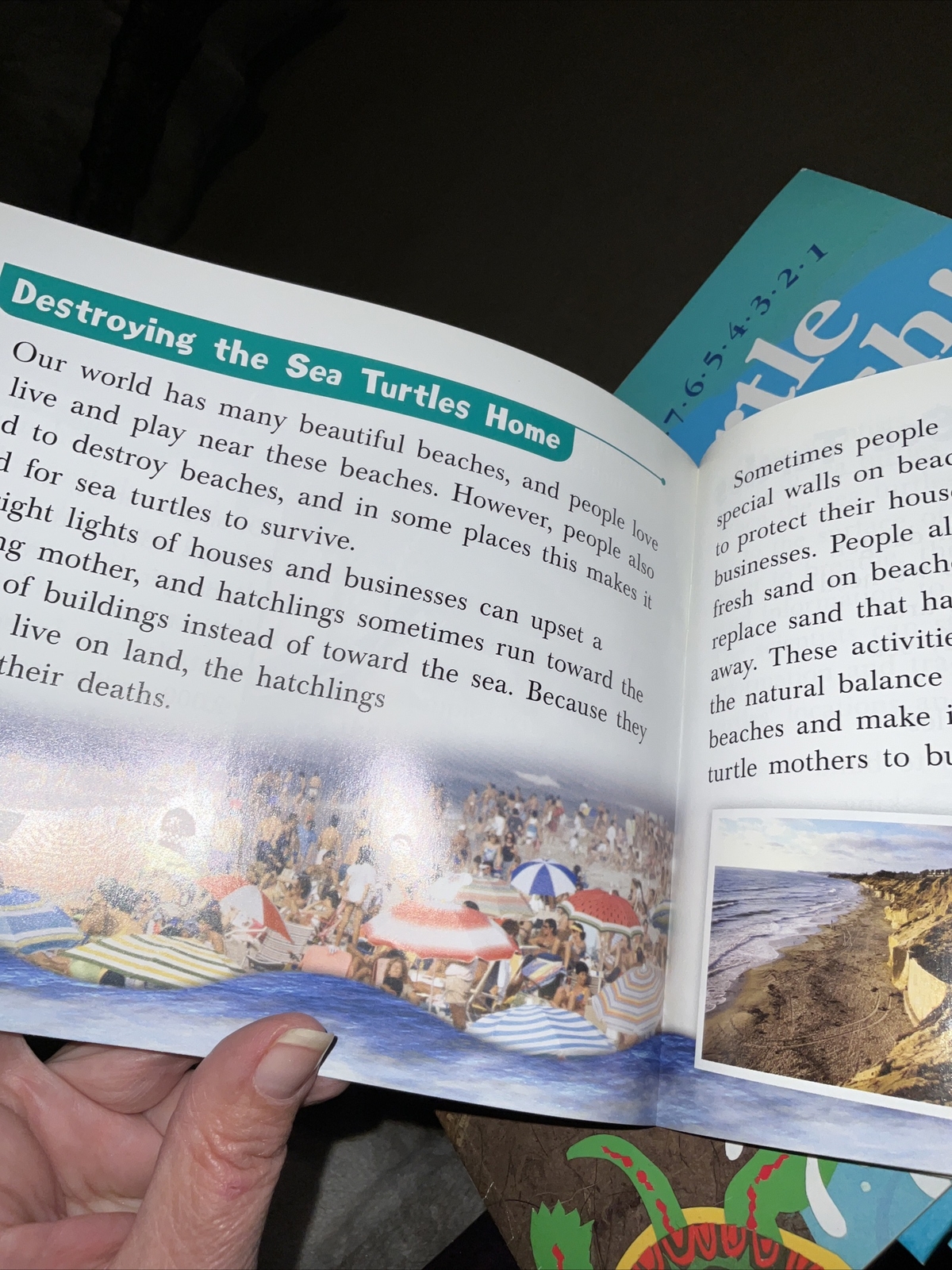 Sea Turtles in Danger By Kristin Cashore 2008 1st Edition Like New