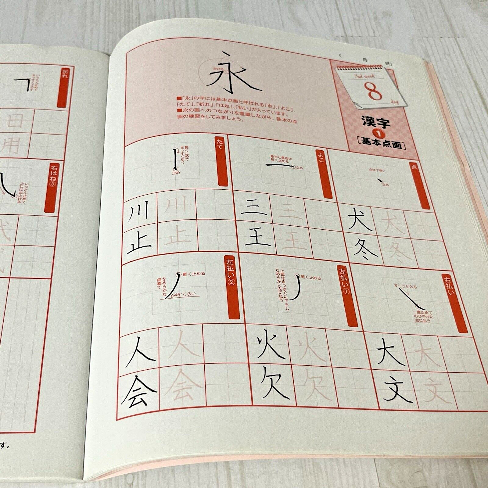 Learn Japanese Handwriting 30 Days Workbook Suito Nakatsuka Penmanship Practice