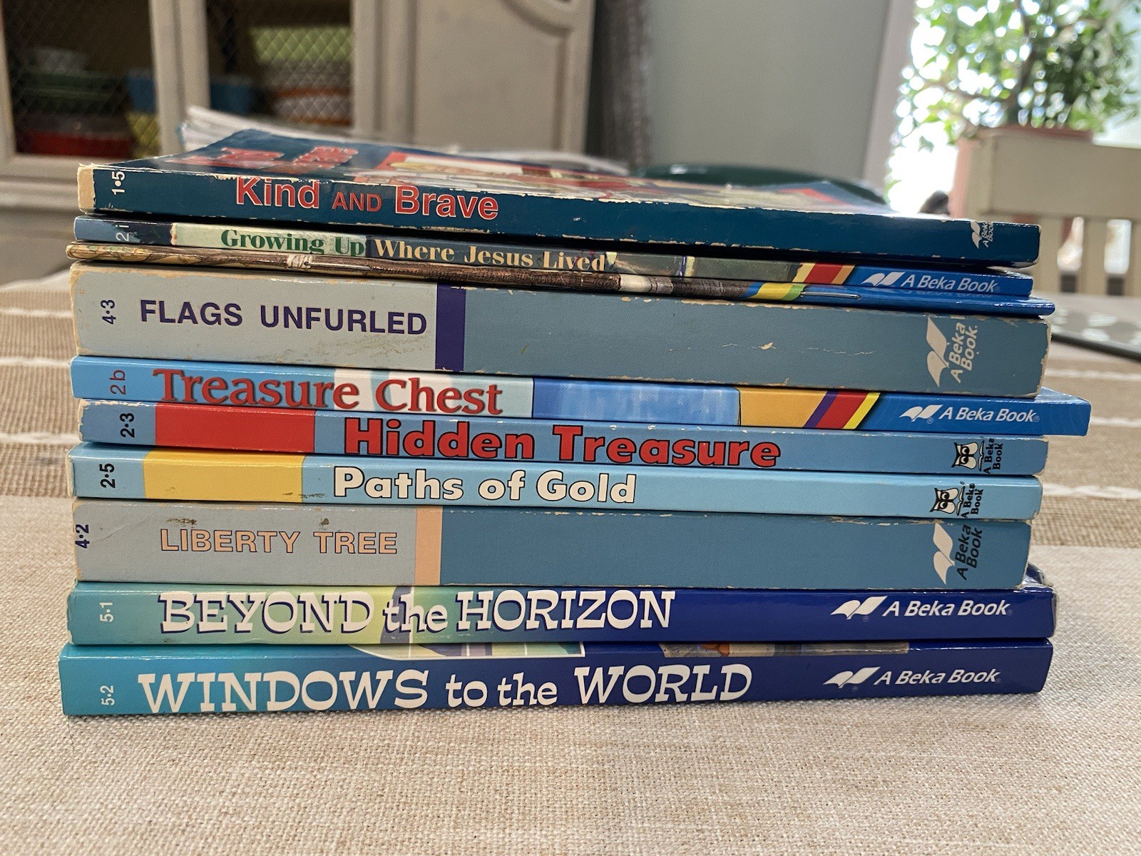 Abeka Reading Program Mixed Book Lot 1 2 3 4 5 Brave Treasure Flags Paths Beyond