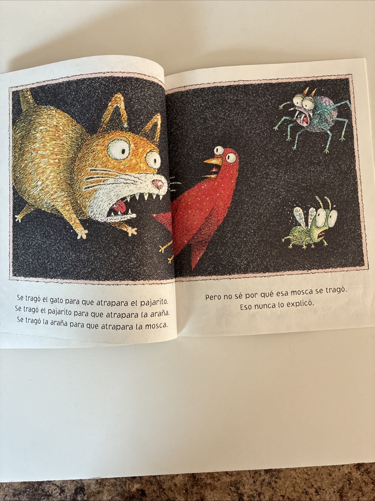 SPANISH Childrens Book With Audio CD -UN DIA UNA SENORA SE TRAGO UNA MOSCA !