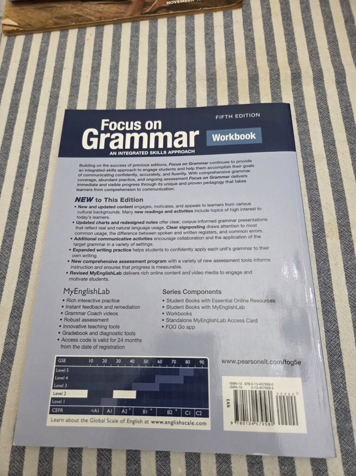 Focus on Grammar Level 2 : Workbook by Schoenberg (2017, Trade Paper)-LIKE NEW