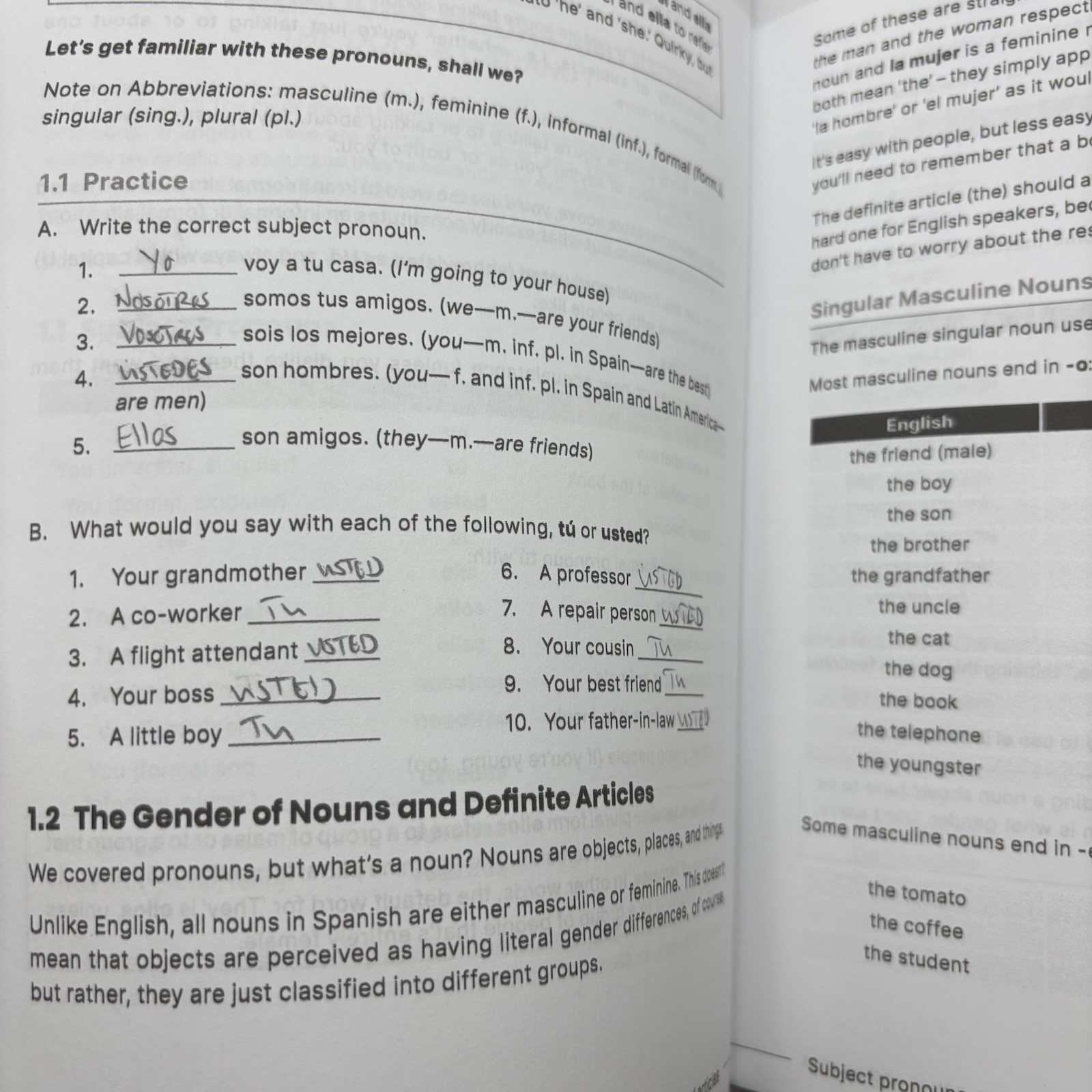 Learn Spanish fast for Adults: 8-in-1 Workbook with Daily Lessons and Exercises