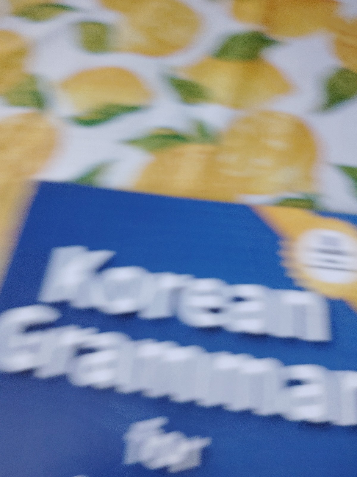 Korean Grammar for Speaking 1 (English Version) Paperback by Song Won