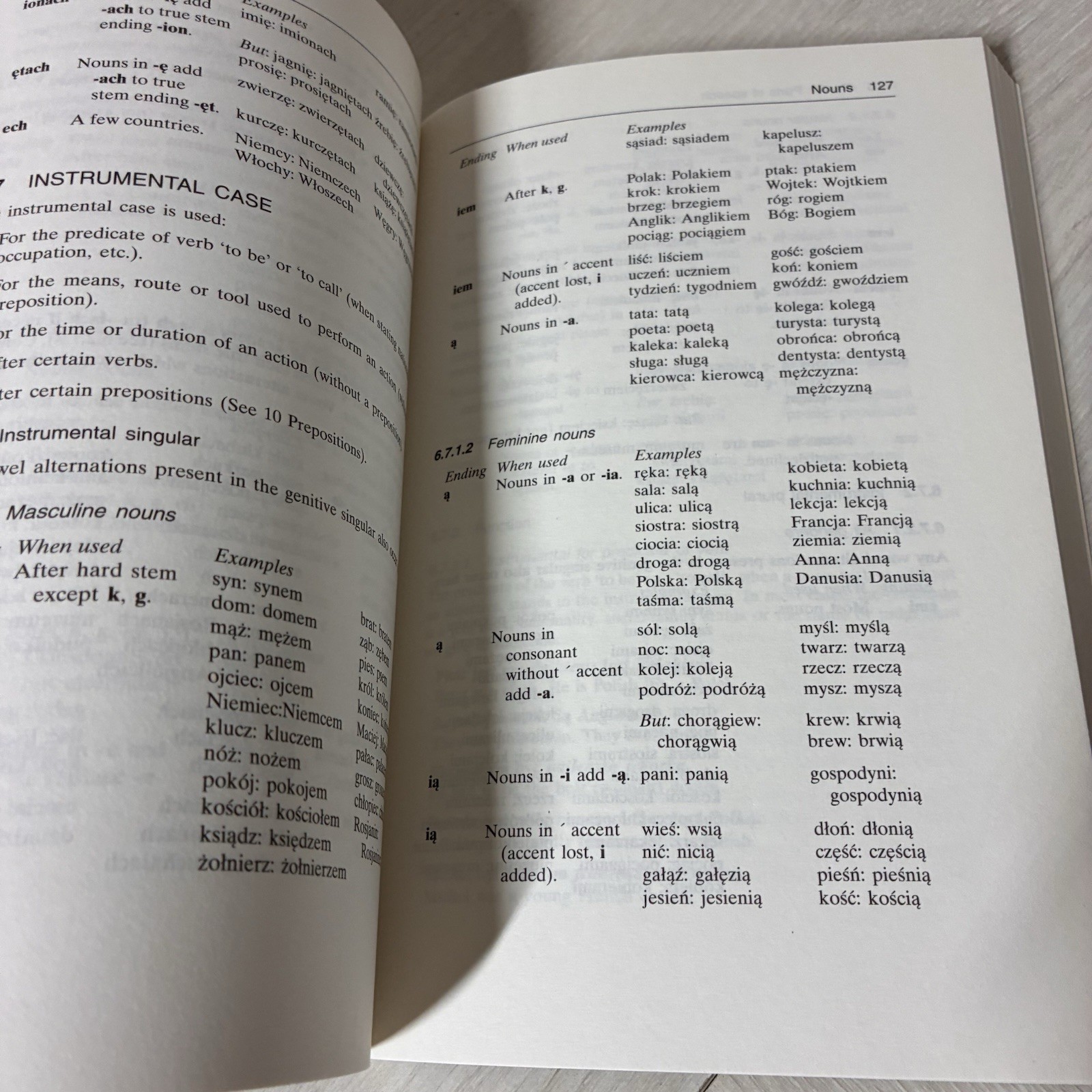 Routledge Polish Essential Grammar Dana Bielec PB Language Study Guide 1998