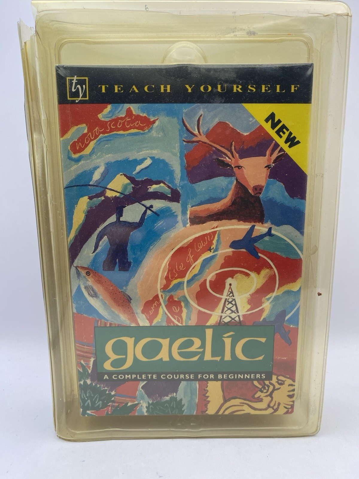 Teach Yourself Gaelic: A Complete Course for Beginners W/Cassettes