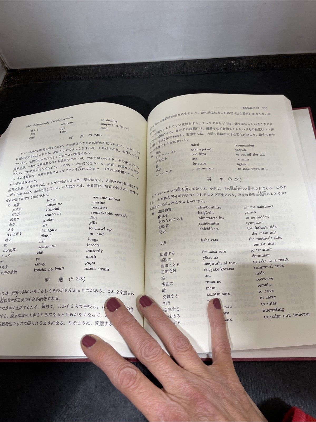 Comprehending Technical Japanese 1975 HC Edward E. Daub Pre-Owned