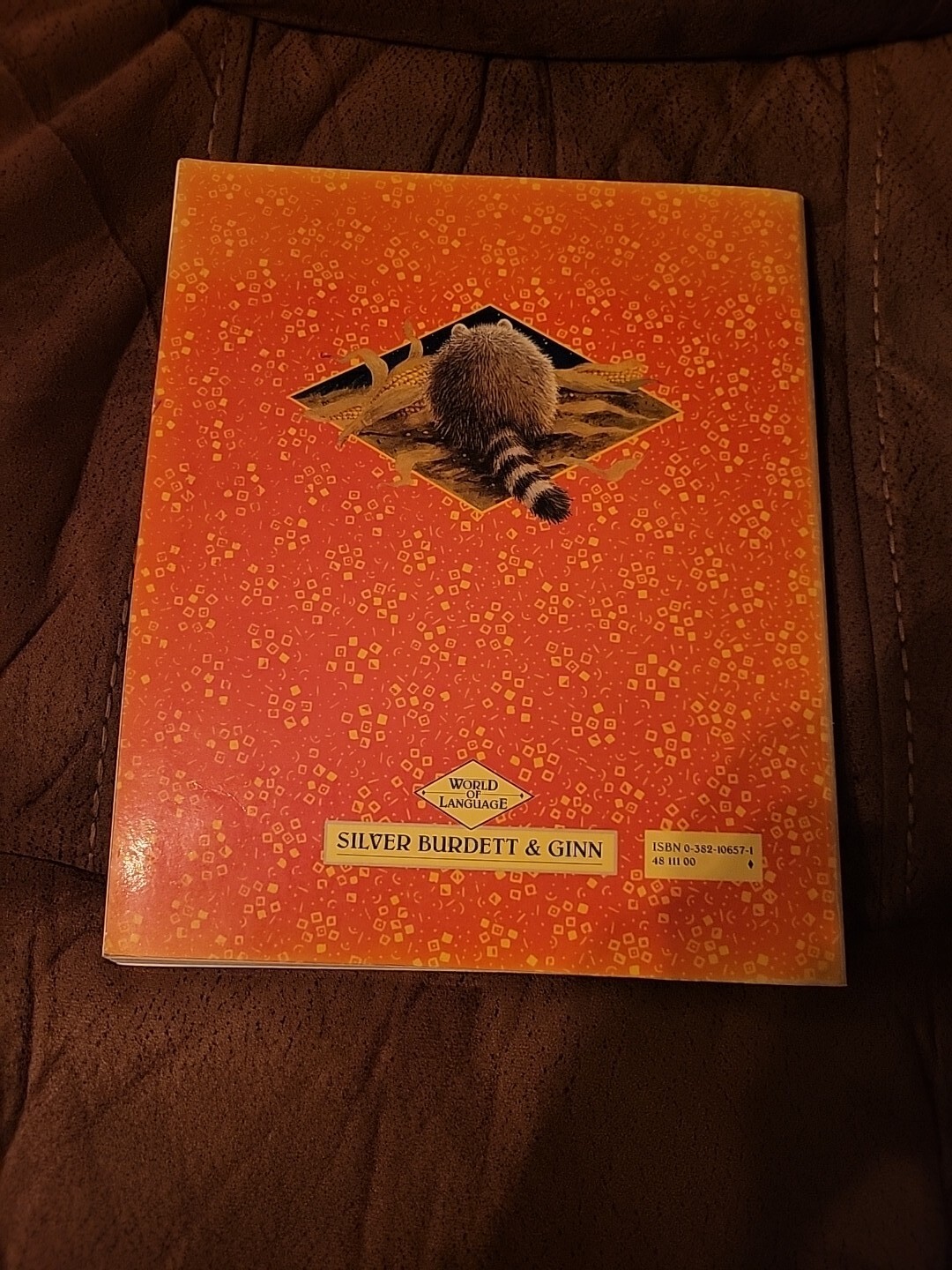 World Of Language Silver Burdett & Ginn Paperback 1990 Student Workbook