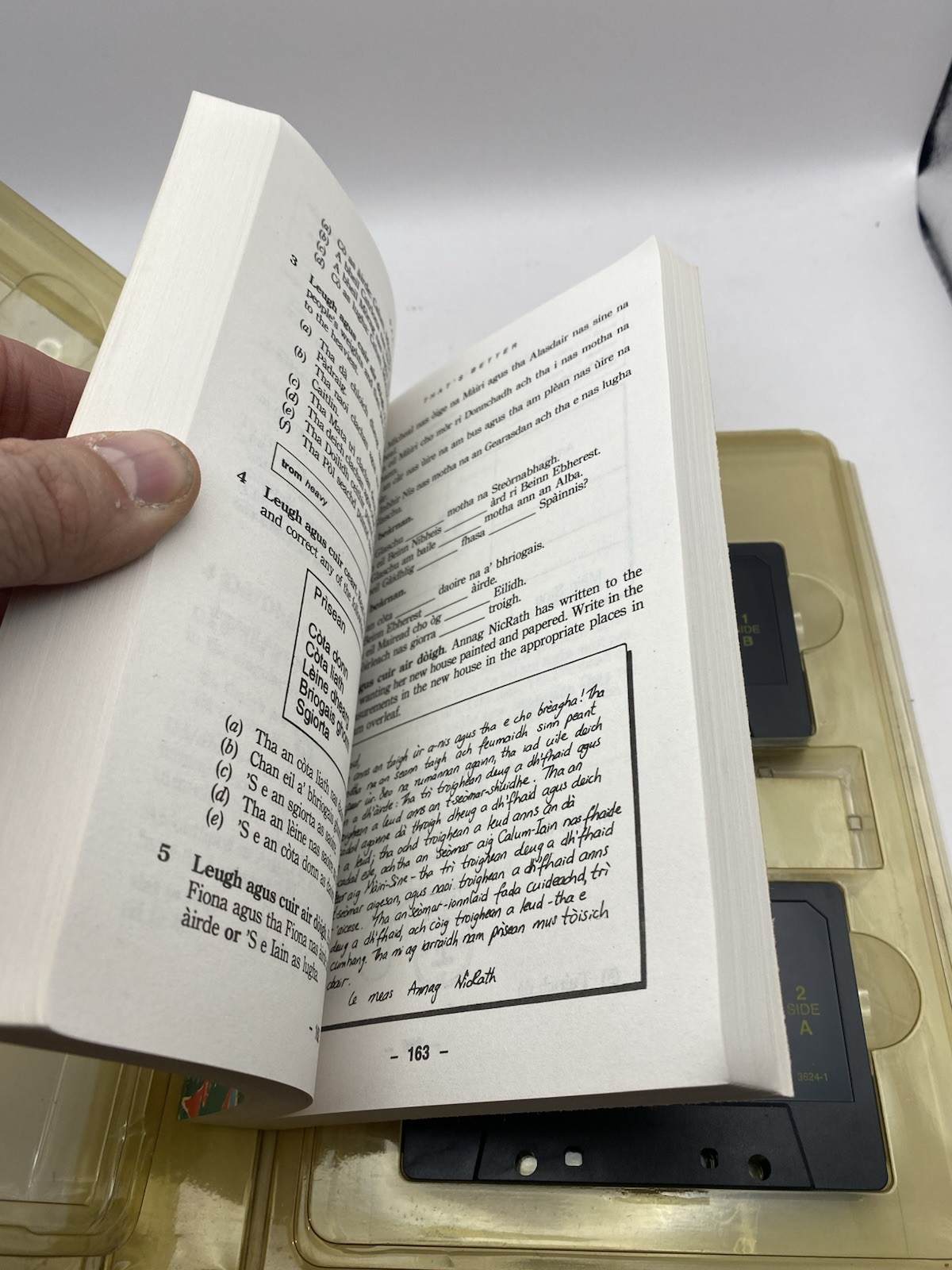 Teach Yourself Gaelic: A Complete Course for Beginners W/Cassettes