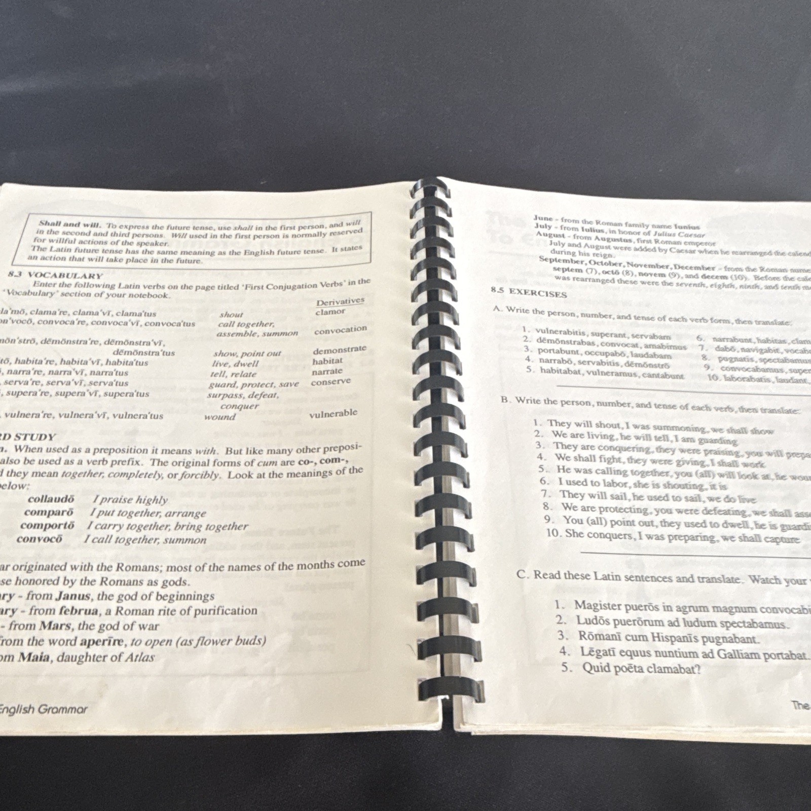 The Latin Road to English Grammar Vol 1 Worksheets Workbook Ring/Wire Bound