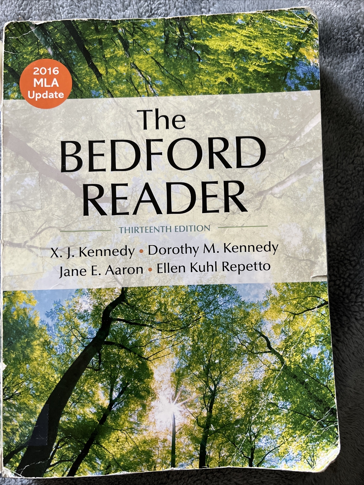 The Bedford reader 13th edition