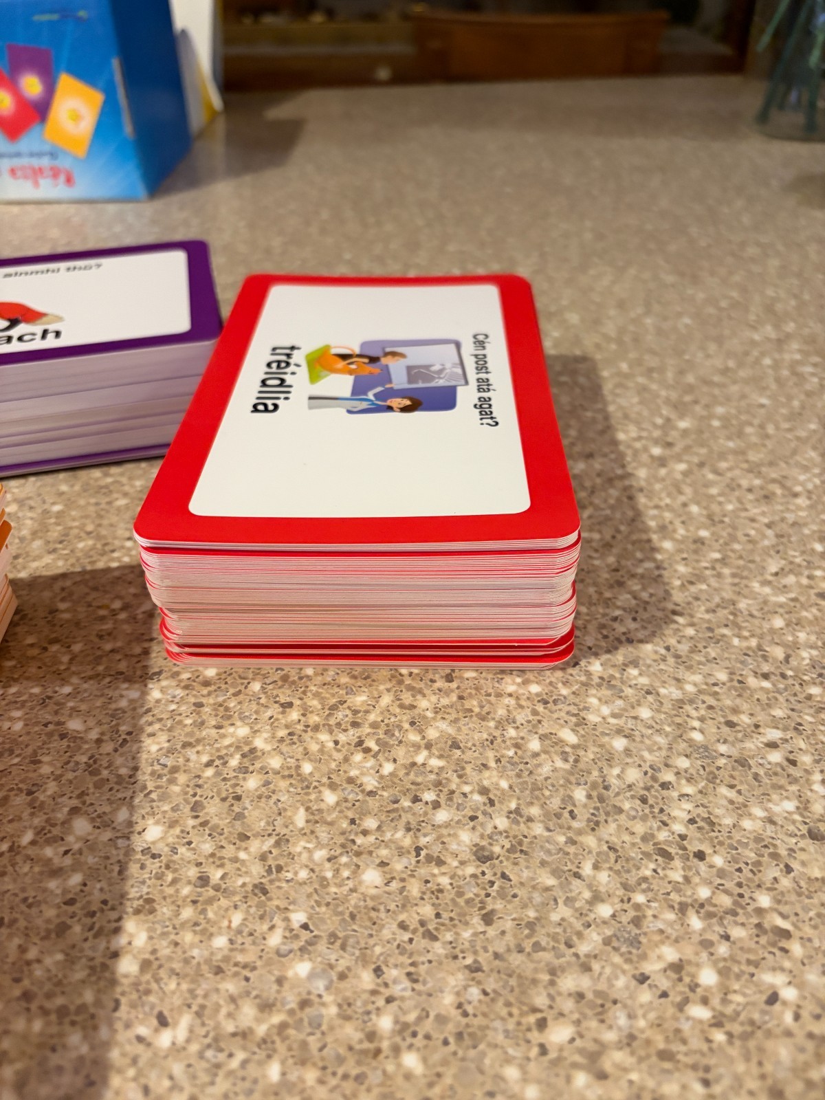 Realta an Ran Gaelic Language Study Cards (Language Flash Cards)