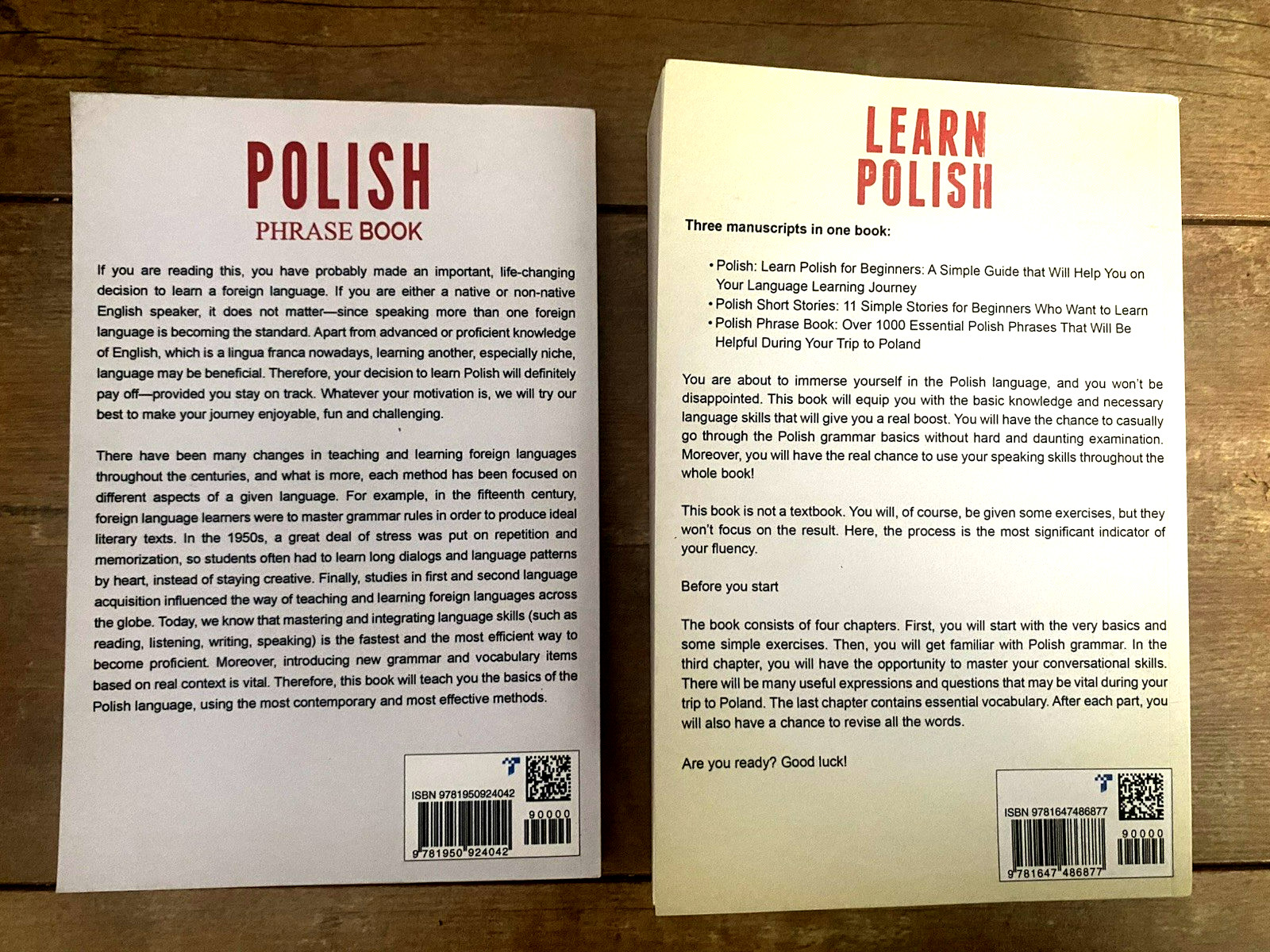 Lot of 2 Learn Beginner Polish and Phrase Books VG