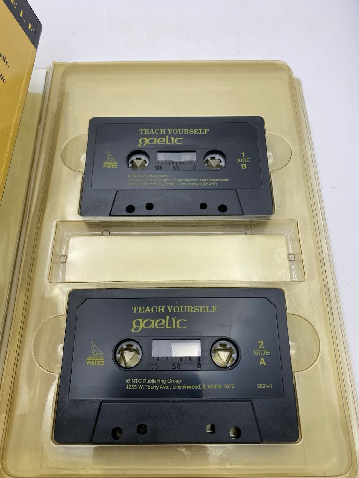 Teach Yourself Gaelic: A Complete Course for Beginners W/Cassettes