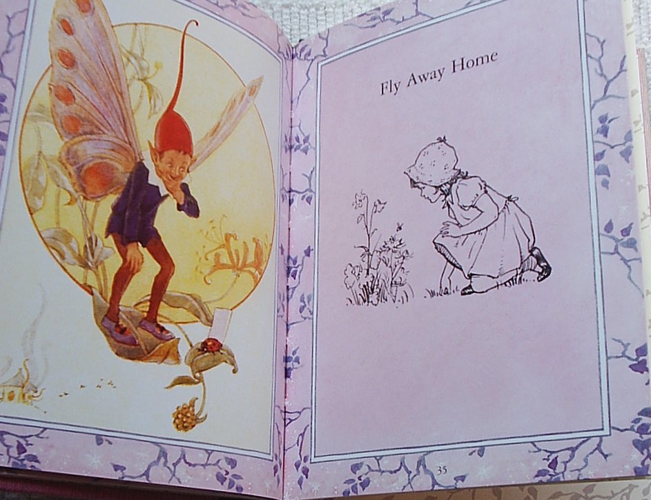 Insect Fairies, Marion St. John Webb and Margaret W. Tarrant. 2003 1st ed. H/B