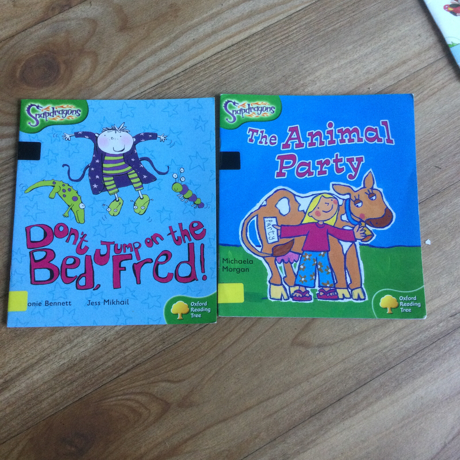 Rigby Star Discovery World Snapdragons Guided Reading 8 X Book Bundle Ex School