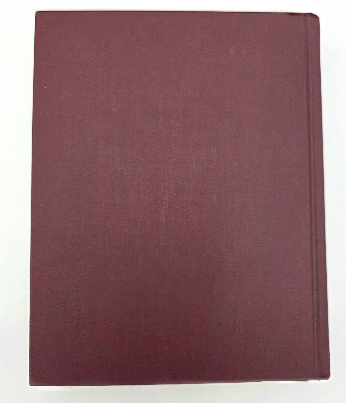 Cajun Self Taught Jules O Daigle Louisiana French Acadian HC 1st Ed VTG