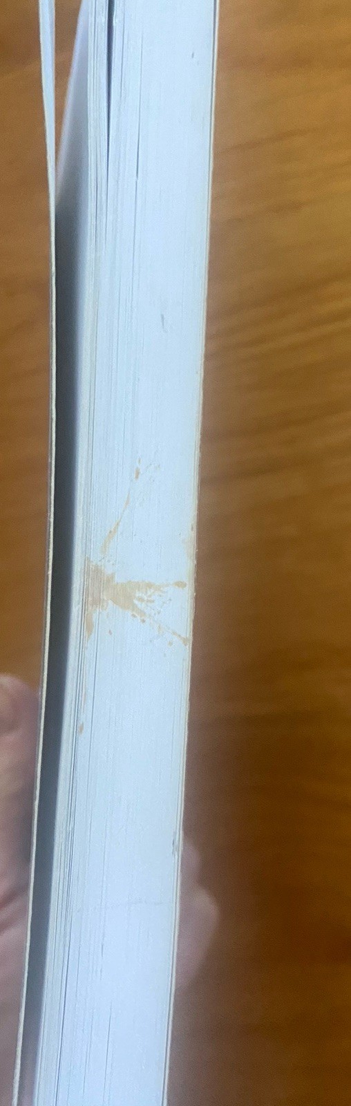 Henle Latin Grammar Paperback By Robert J. Henle GOOD