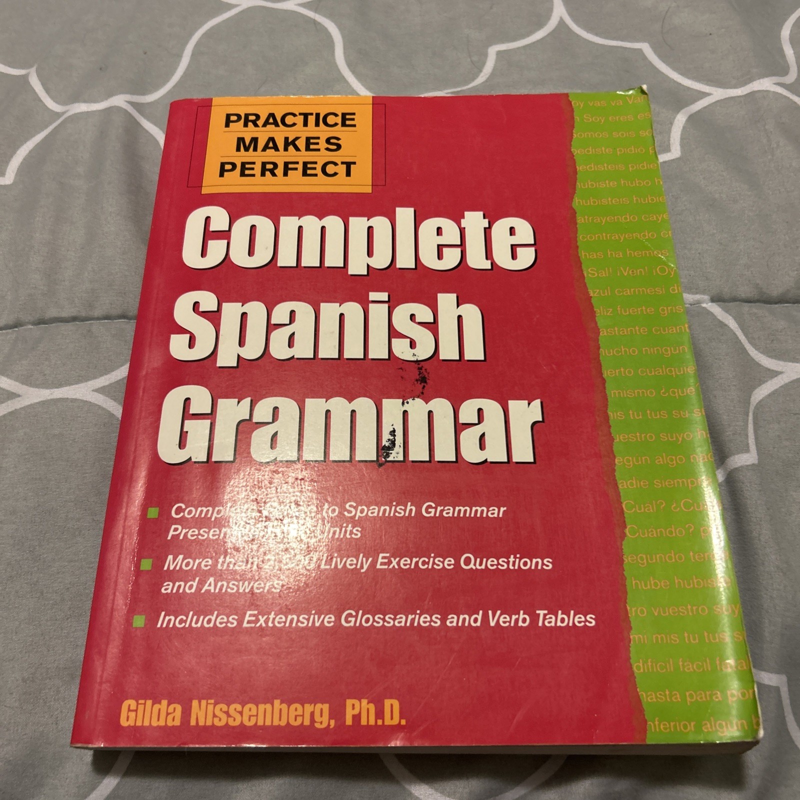 Practice Makes Perfect: Complete Spanish Grammar by Gilda Nissenberg