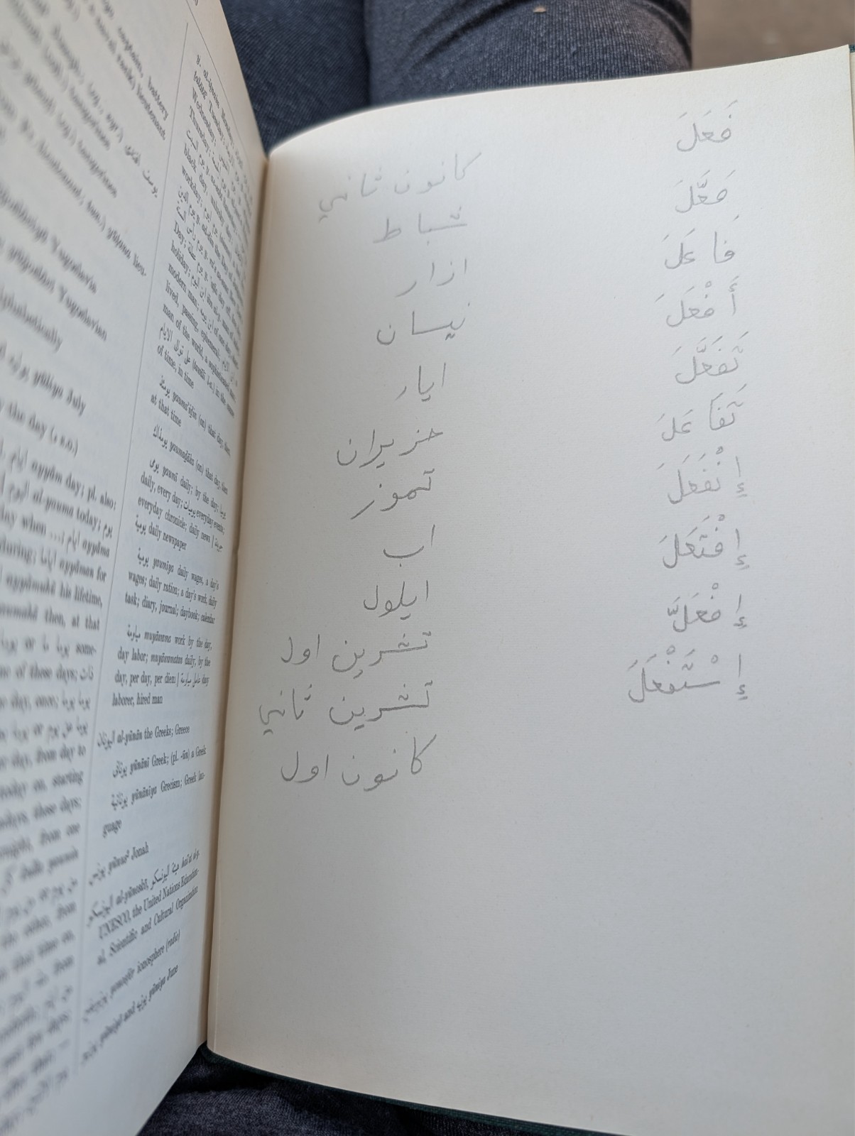 A Dictionary of Modern Written Arabic by Hans Wehr 1961 1st Edition Hardcover