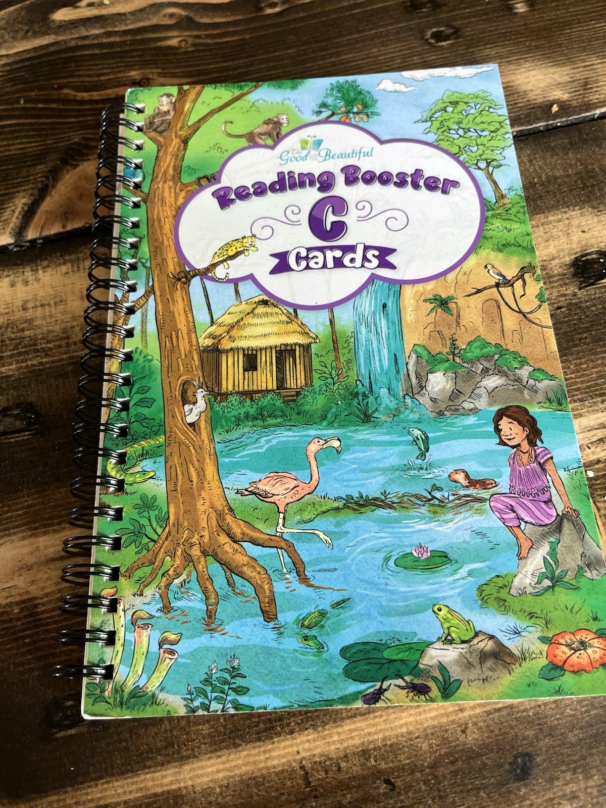 The Good and the Beautiful Language Arts & Literature Level 2 Booster Cards C