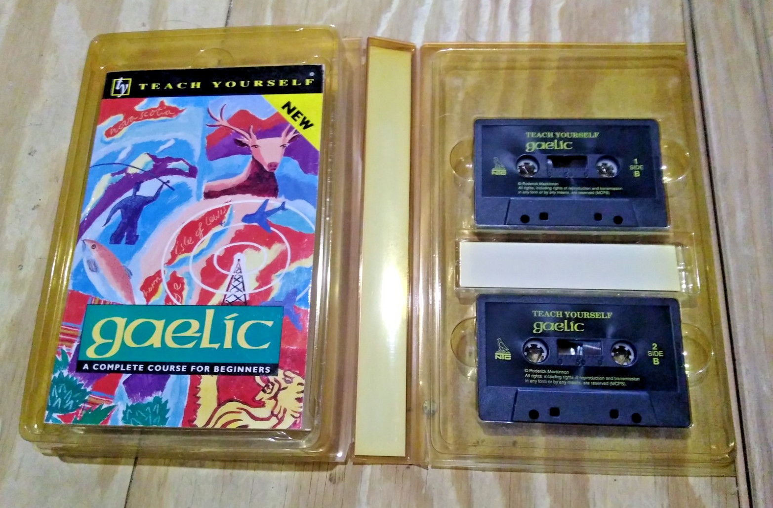 Teach Yourself Gaelic: A Complete Course for Beginners W/Cassettes – USED, AS-IS