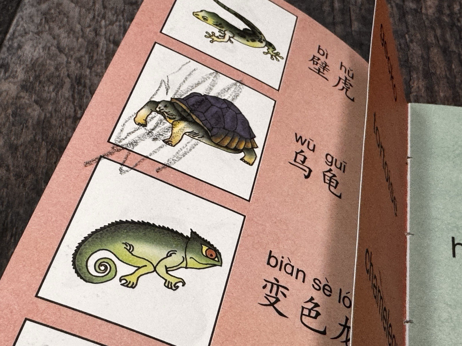 A Childrens English-Chinese Picture Word Book RARE 4 Book Set Hardcover. VINTAGE