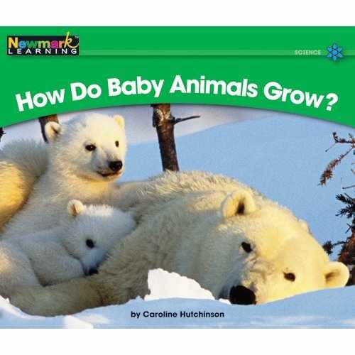 Library Book: How Do – Paperback, by National Geographic Learning – Very Good