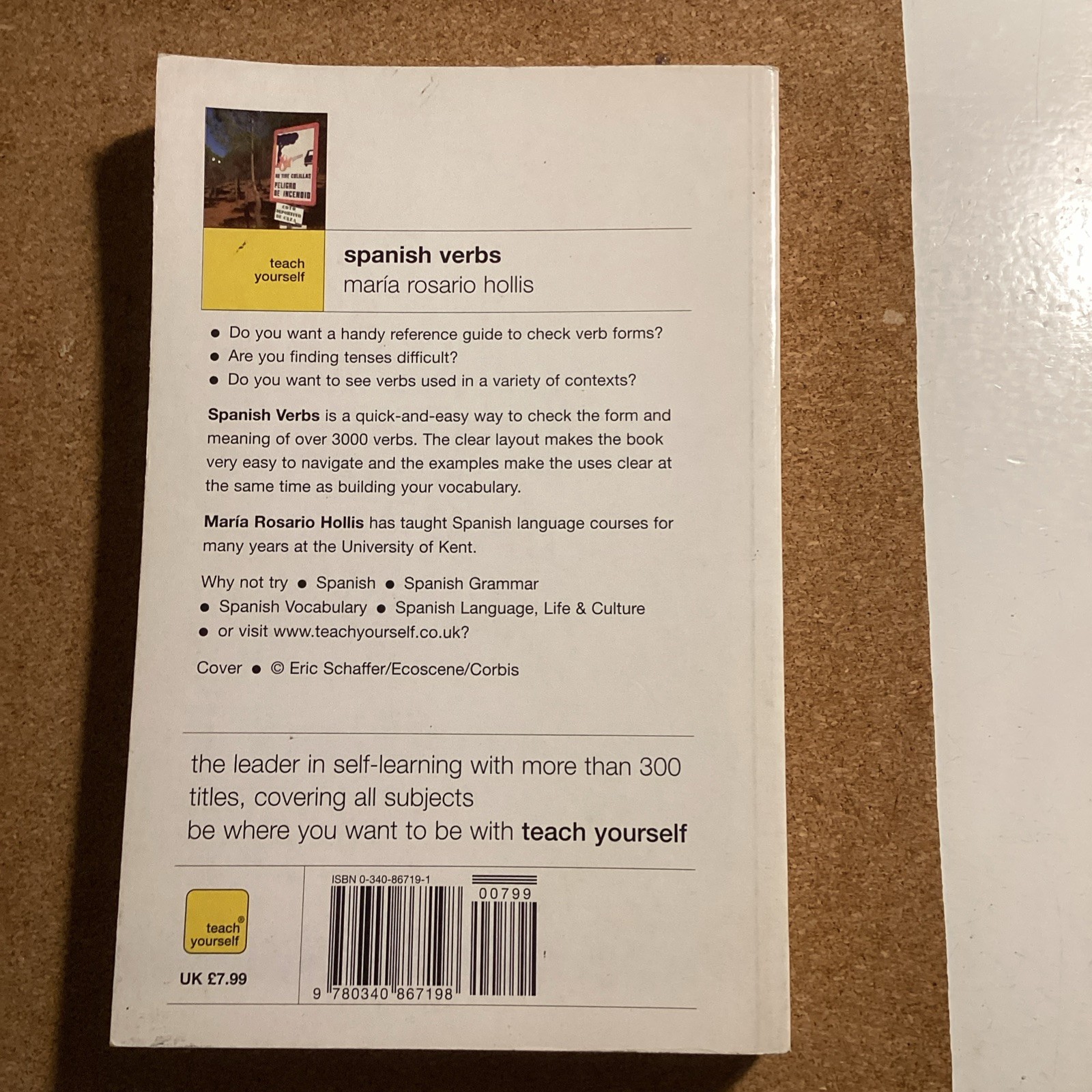 Teach Yourself Spanish Verbs New Ed…, Hollis, Maria R
