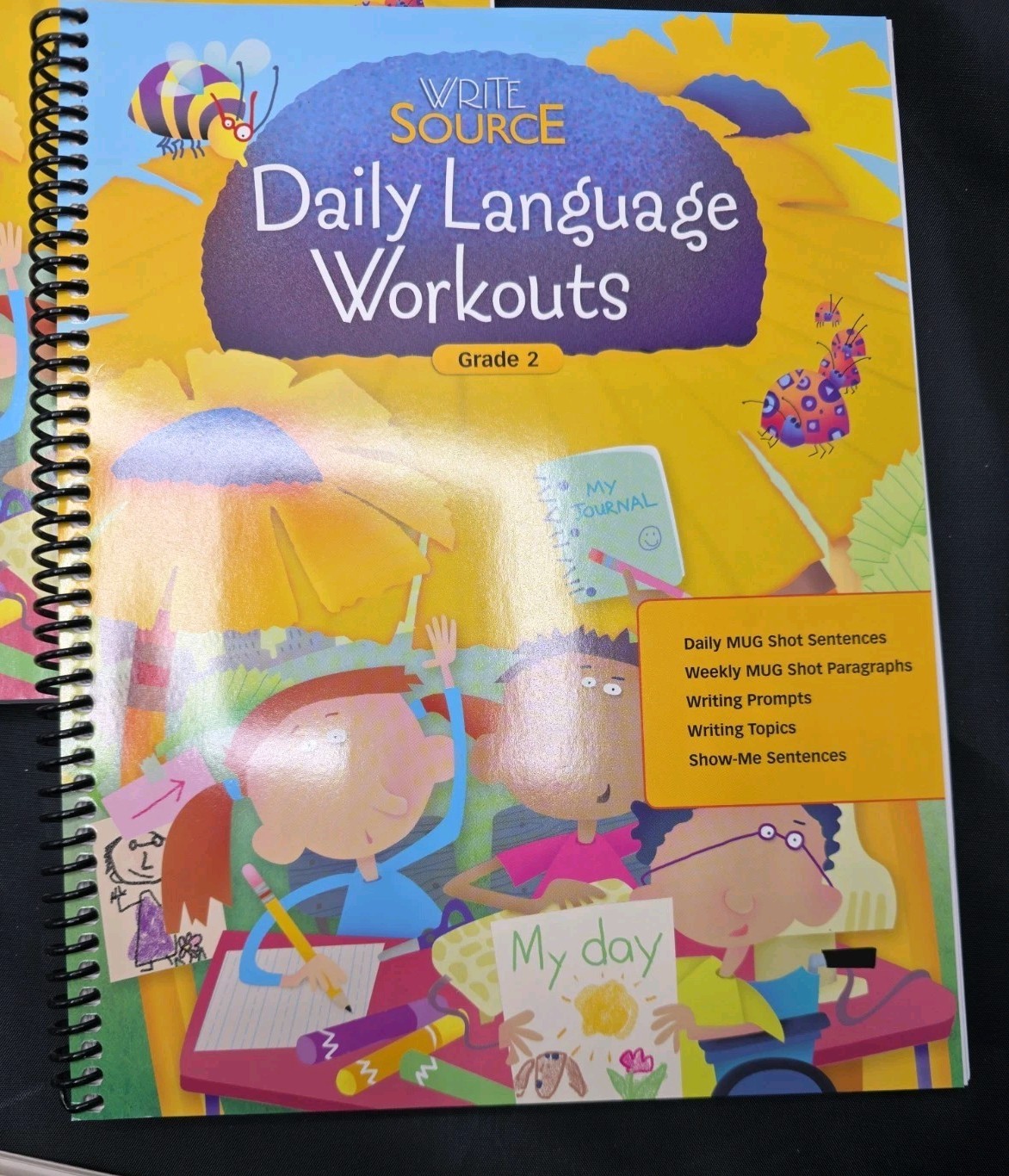 Write Source Skills Book Teachers Edition Student Book & Language Workouts Gr 2