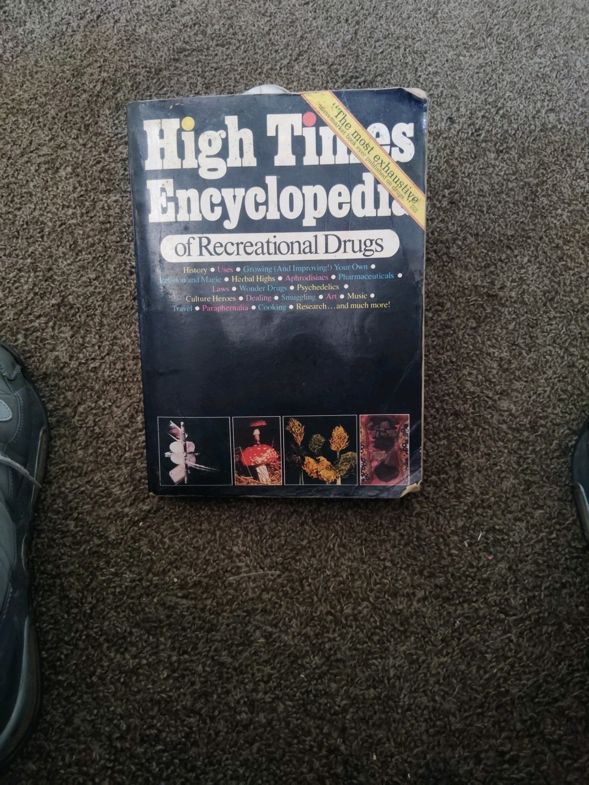 English,Very Indepth To The Subject Easy Either To Read Or Look At