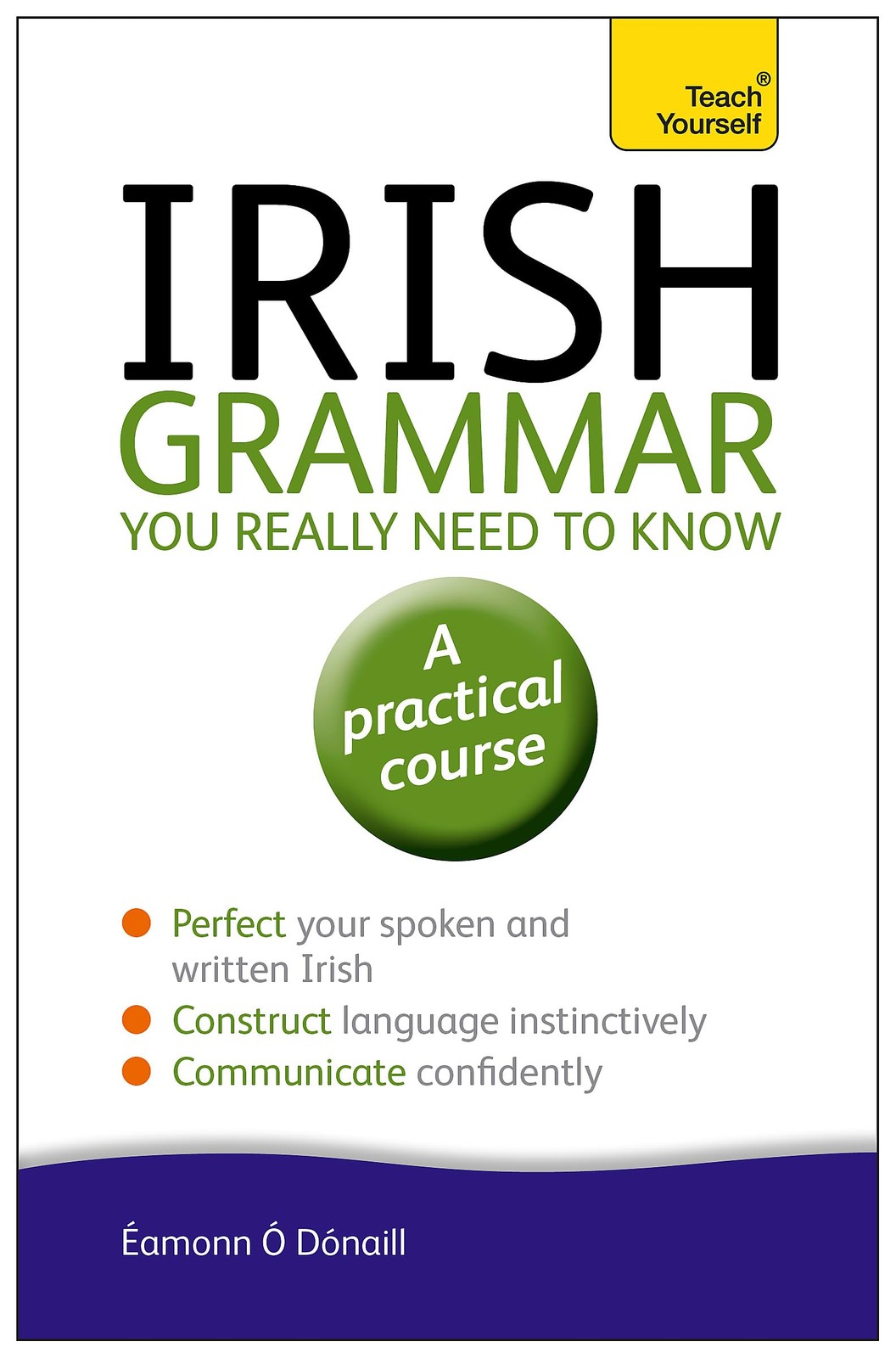 Teach Yourself Irish Grammar You Really Need to Know: A Practical Course