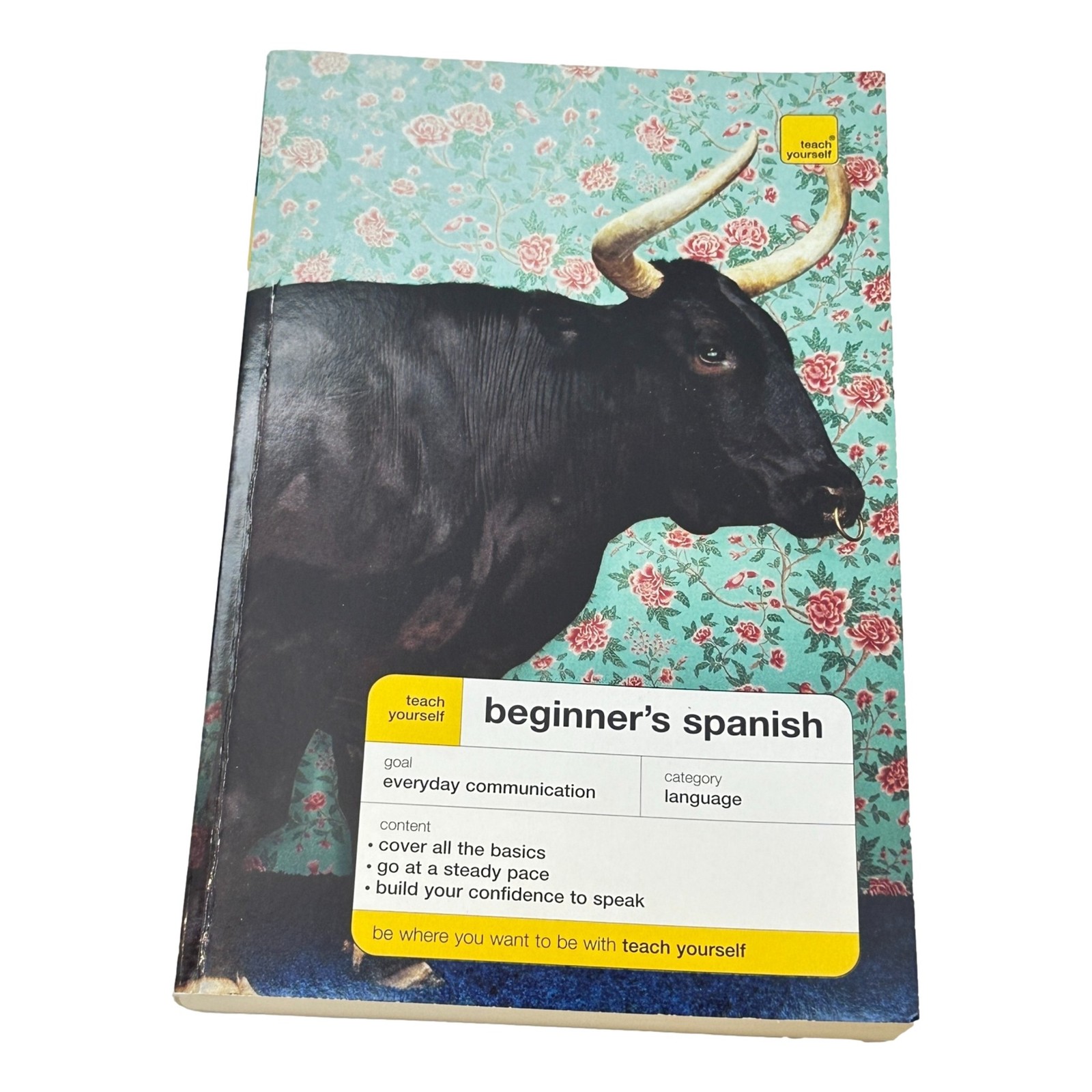 Spanish Teach Yourself Beginners Book PB and 2 CD