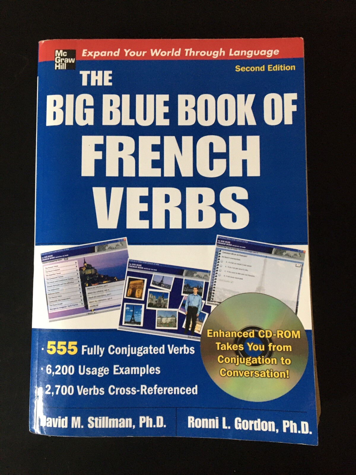 Big Book of Verbs Ser.: The Big Blue Book of French Verbs (Book W/CD-ROM) : 555